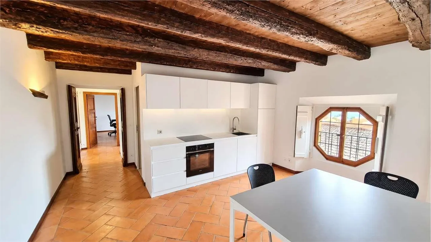 MENDRISIO CENTER: PRESTIGIOUS OFFICE IN THE POLLINI PALACE - Photo 8 of 10