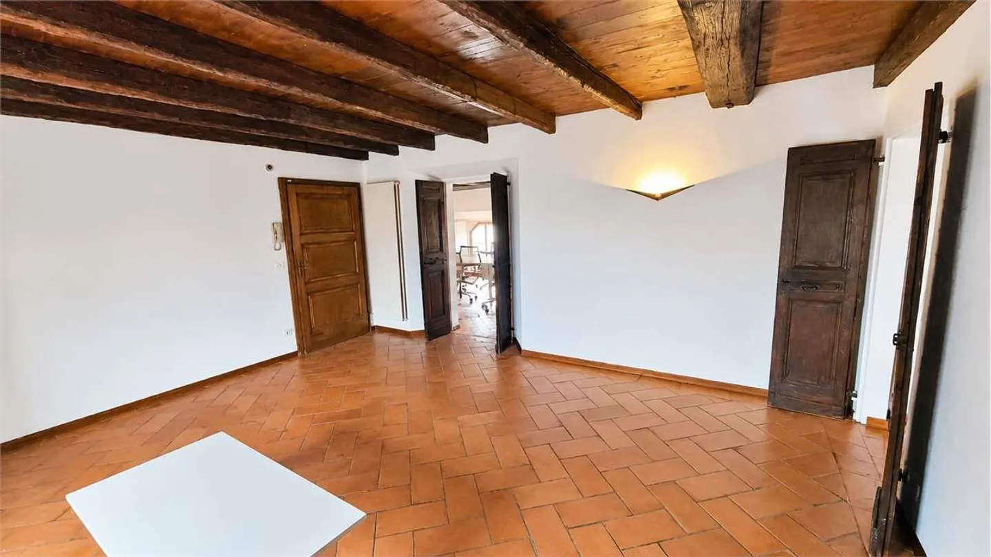 MENDRISIO CENTER: PRESTIGIOUS OFFICE IN THE POLLINI PALACE - Photo 9 of 10