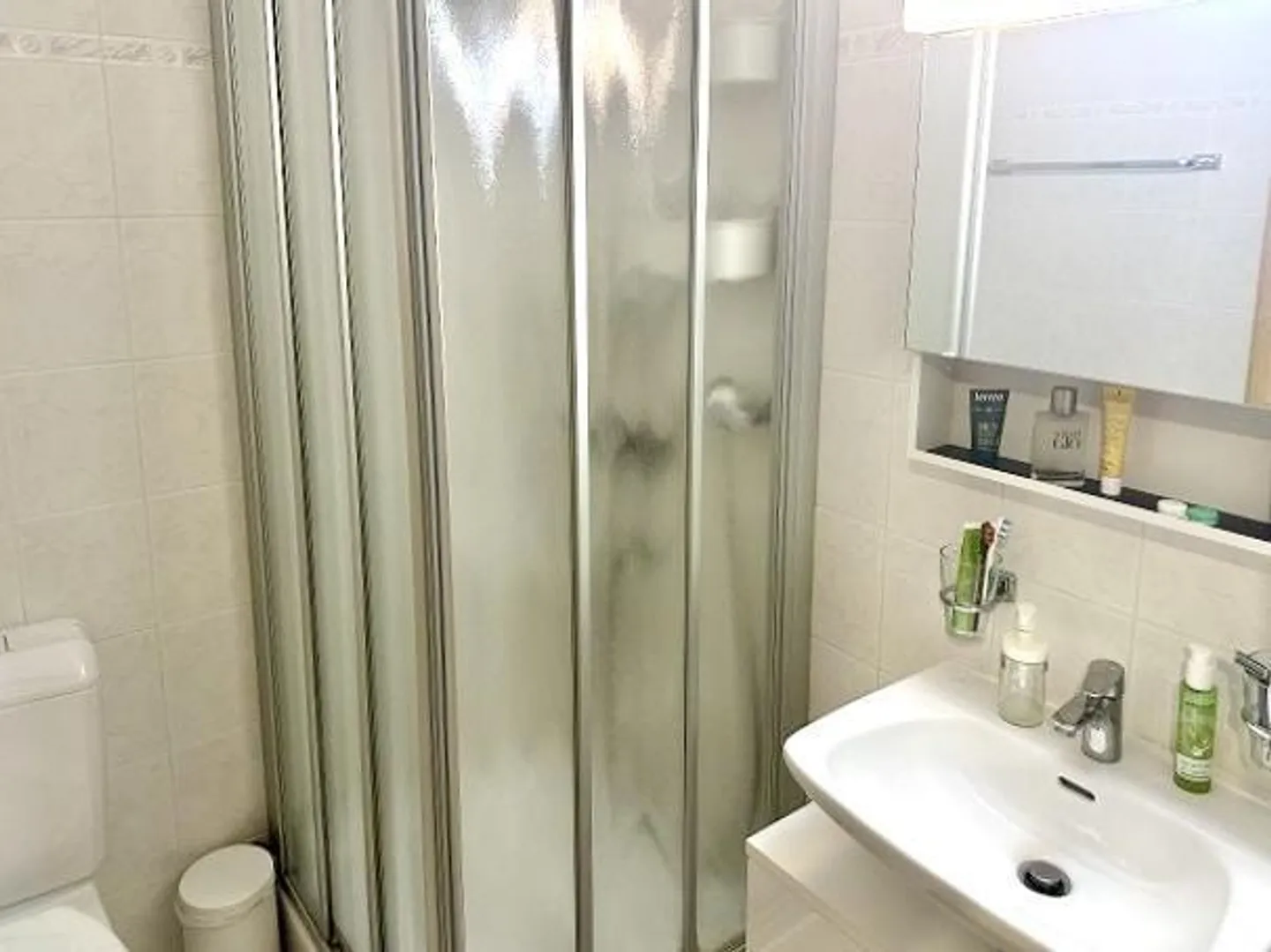 4 1/2-Room Garden Apartment with 2-Room Rustico - Photo 11 of 36