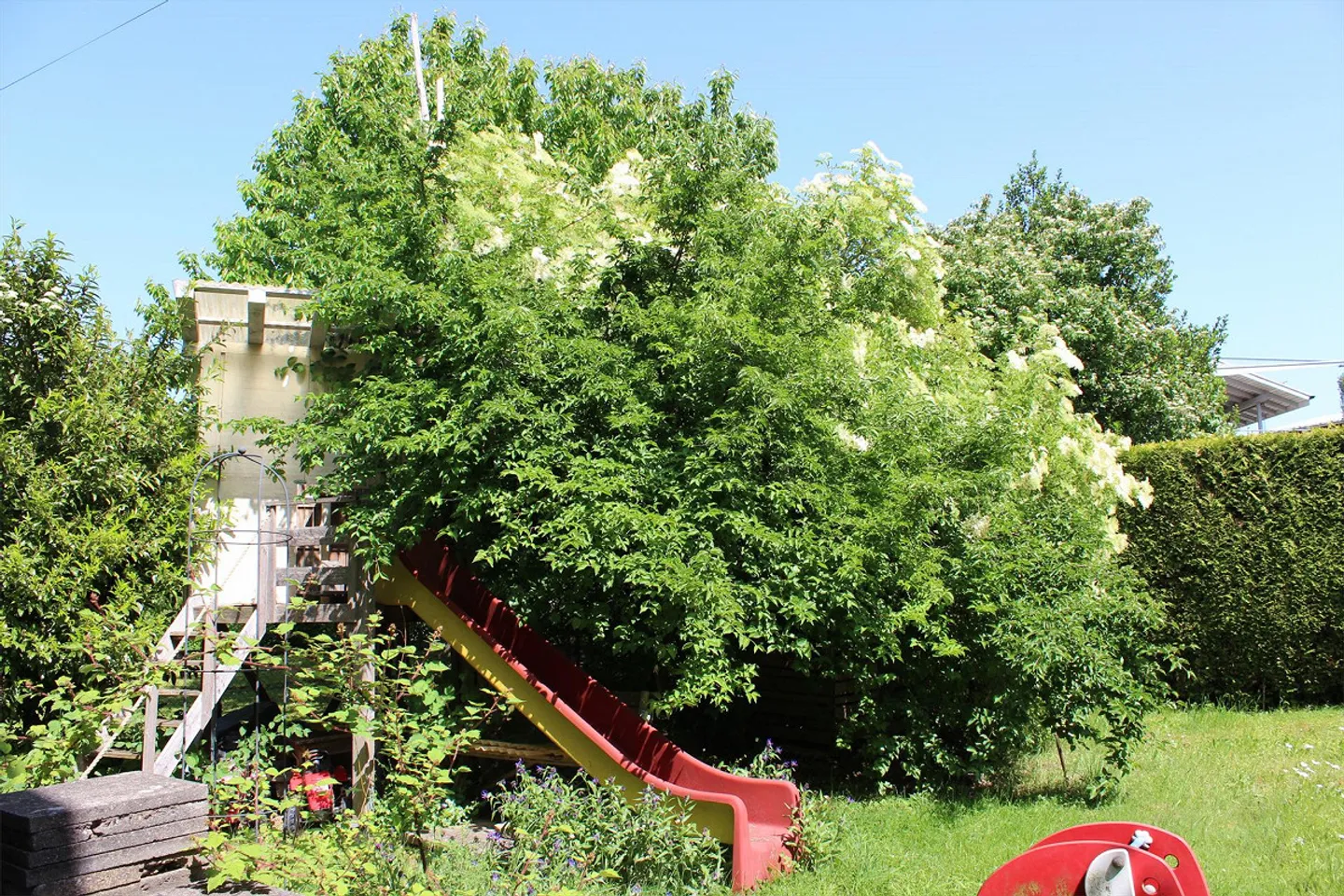 Maison individuelle détachée - Paradis pour les familles amoureuses de la nature - Photo 2 sur 6