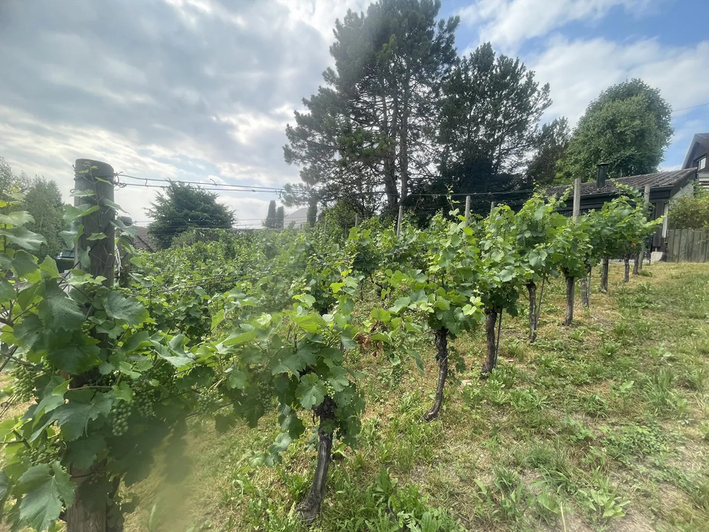 Charmante maison individuelle avec réserve foncière - Photo 6 sur 26