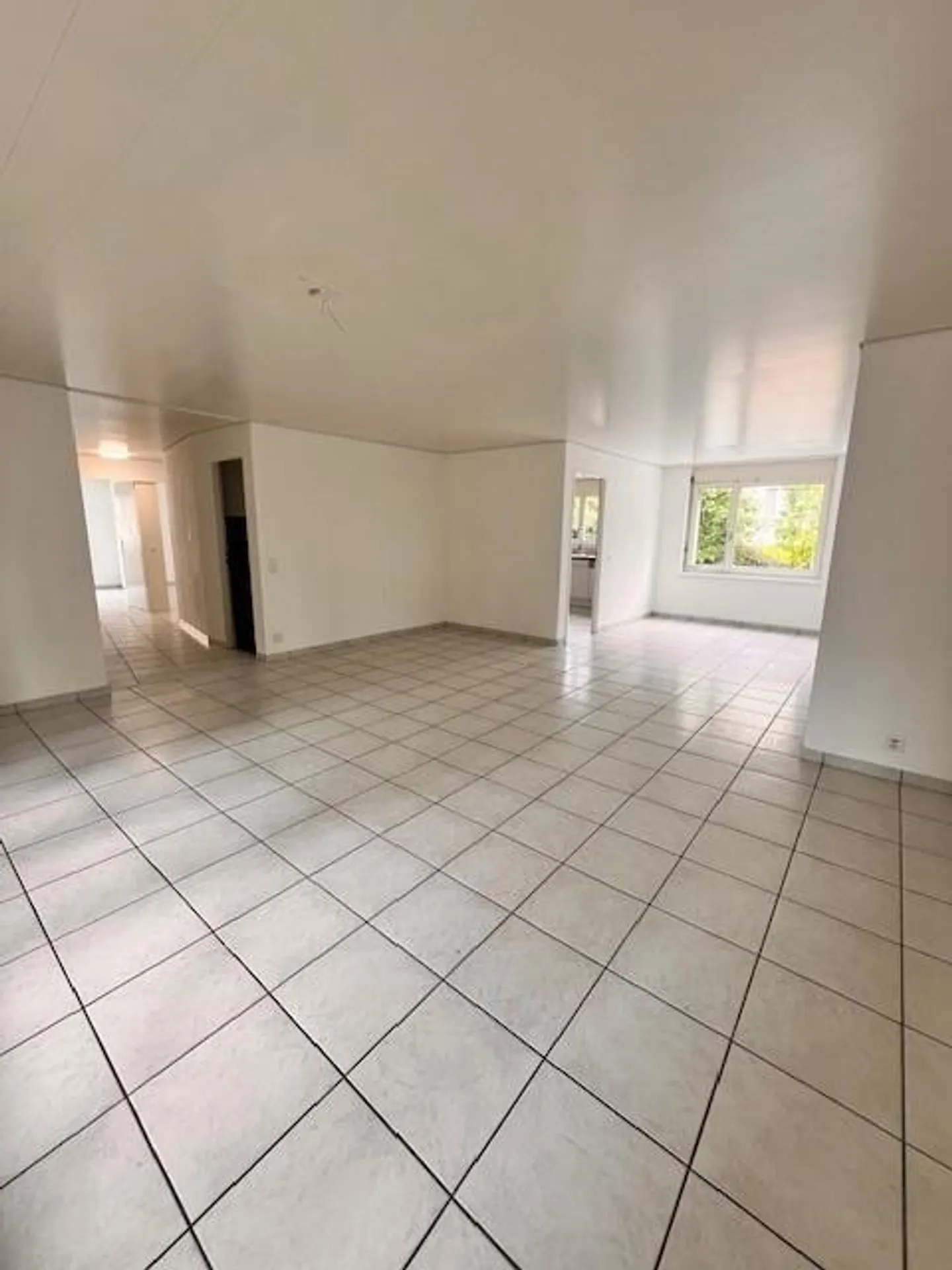 Schöne 4.5 ZWG mit groser Terasse und Gemeinschaftsgarten - Foto 11 von 12