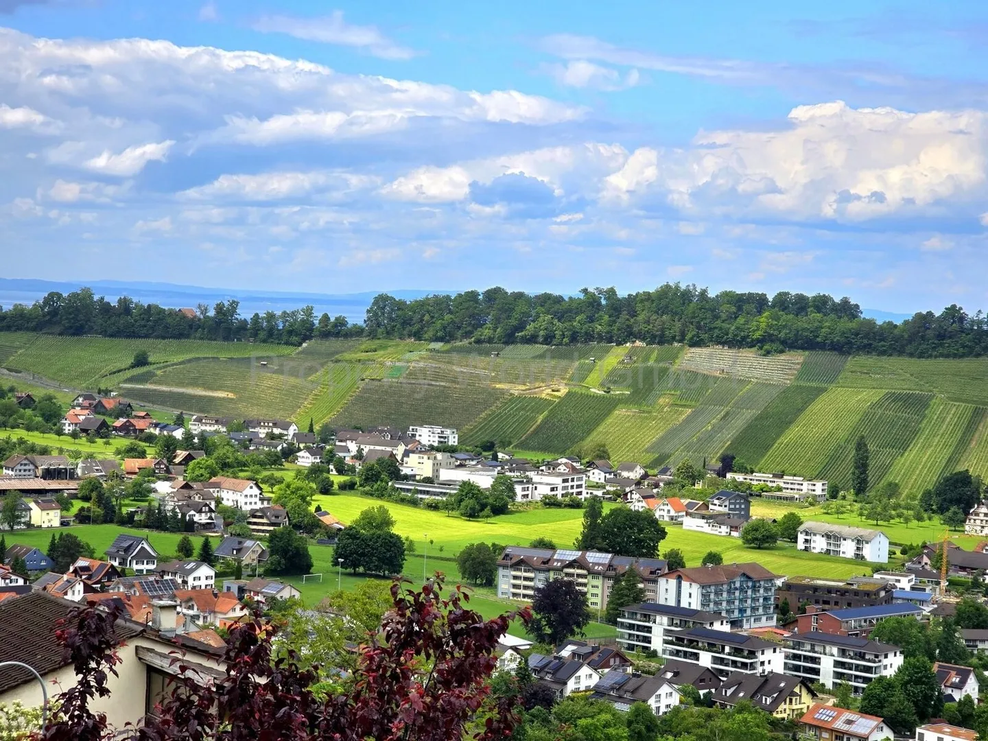 ? Ein Ort für neue Perspektiven – Wohnen & Arbeiten über dem Bodensee - Foto 3 von 12