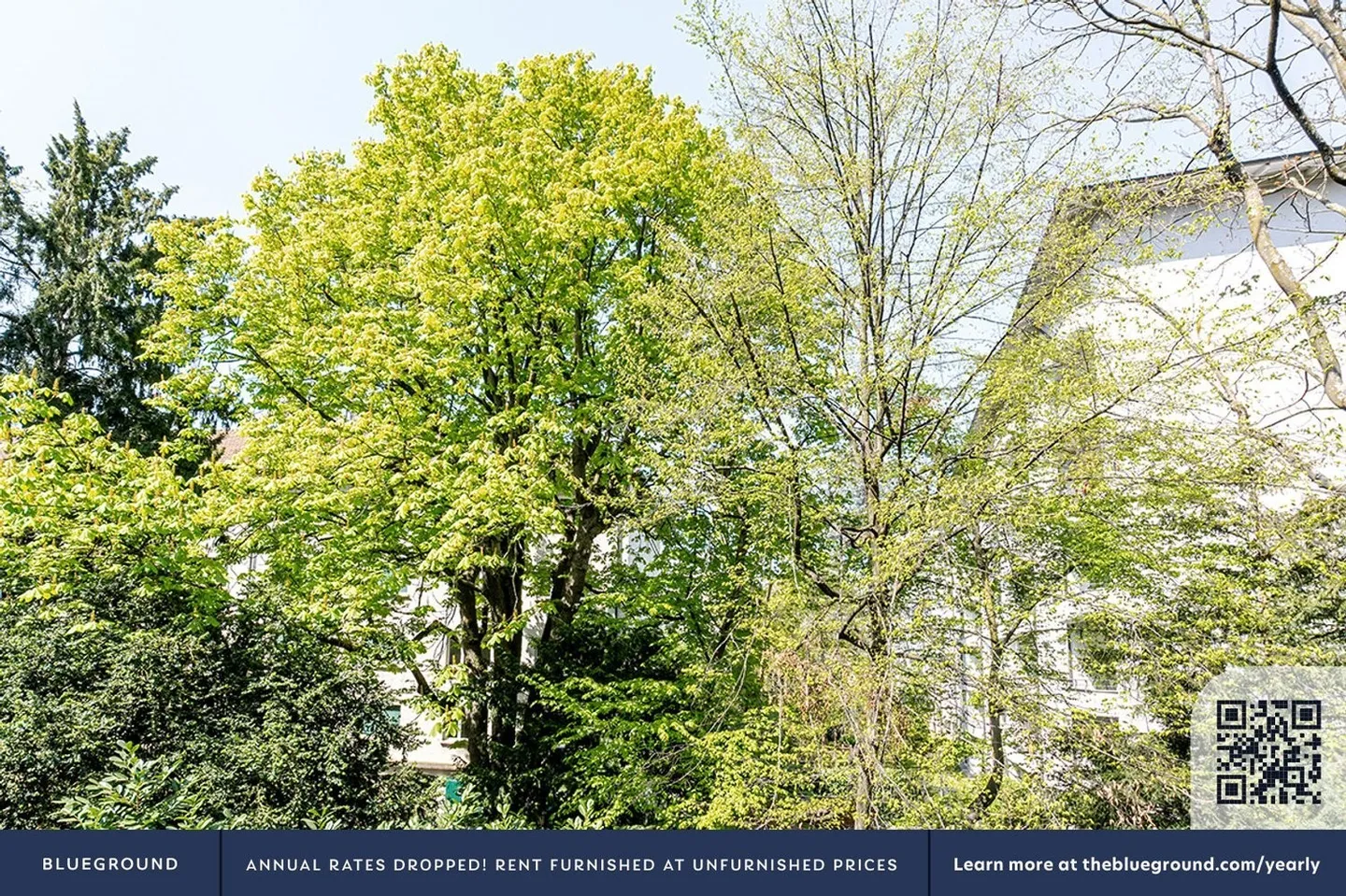 Blueground ID98, Basel-St. Alban - Photo 7 of 13