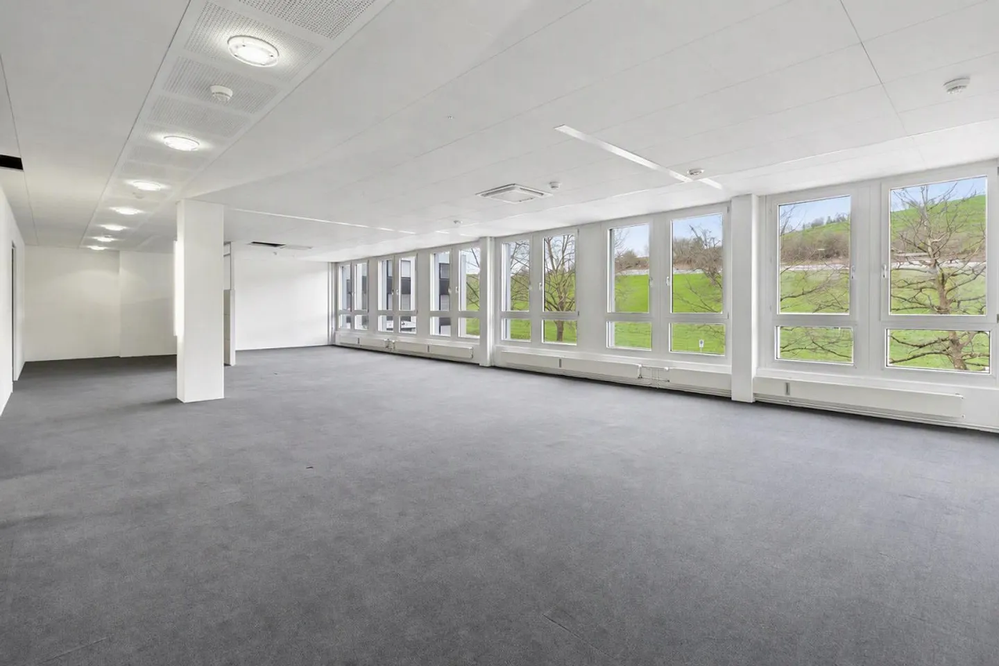 Modernes Büro in Baar - Foto 3 von 11