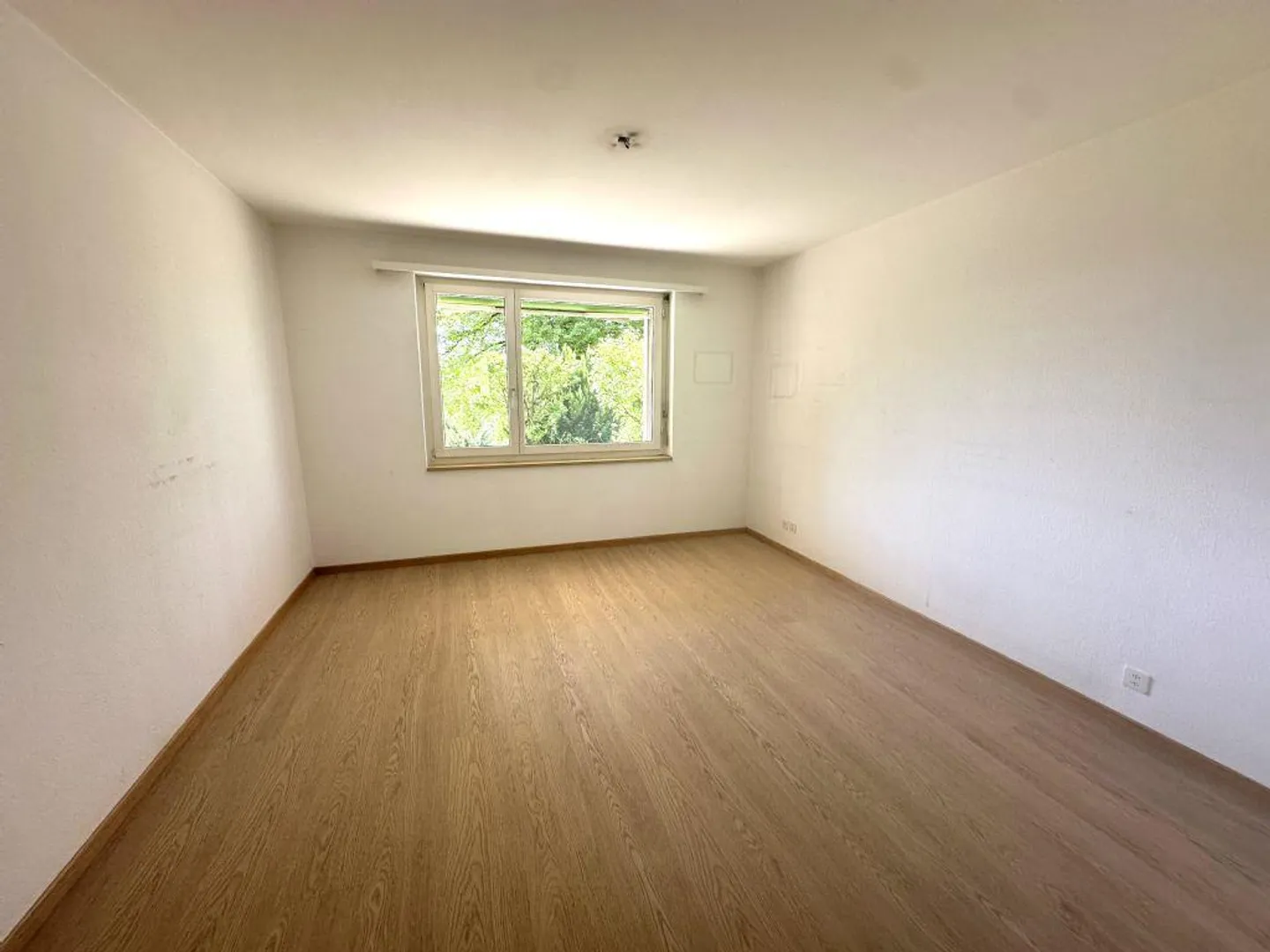 Sonnige Wohnung in ruhiger Lage - Foto 7 von 9