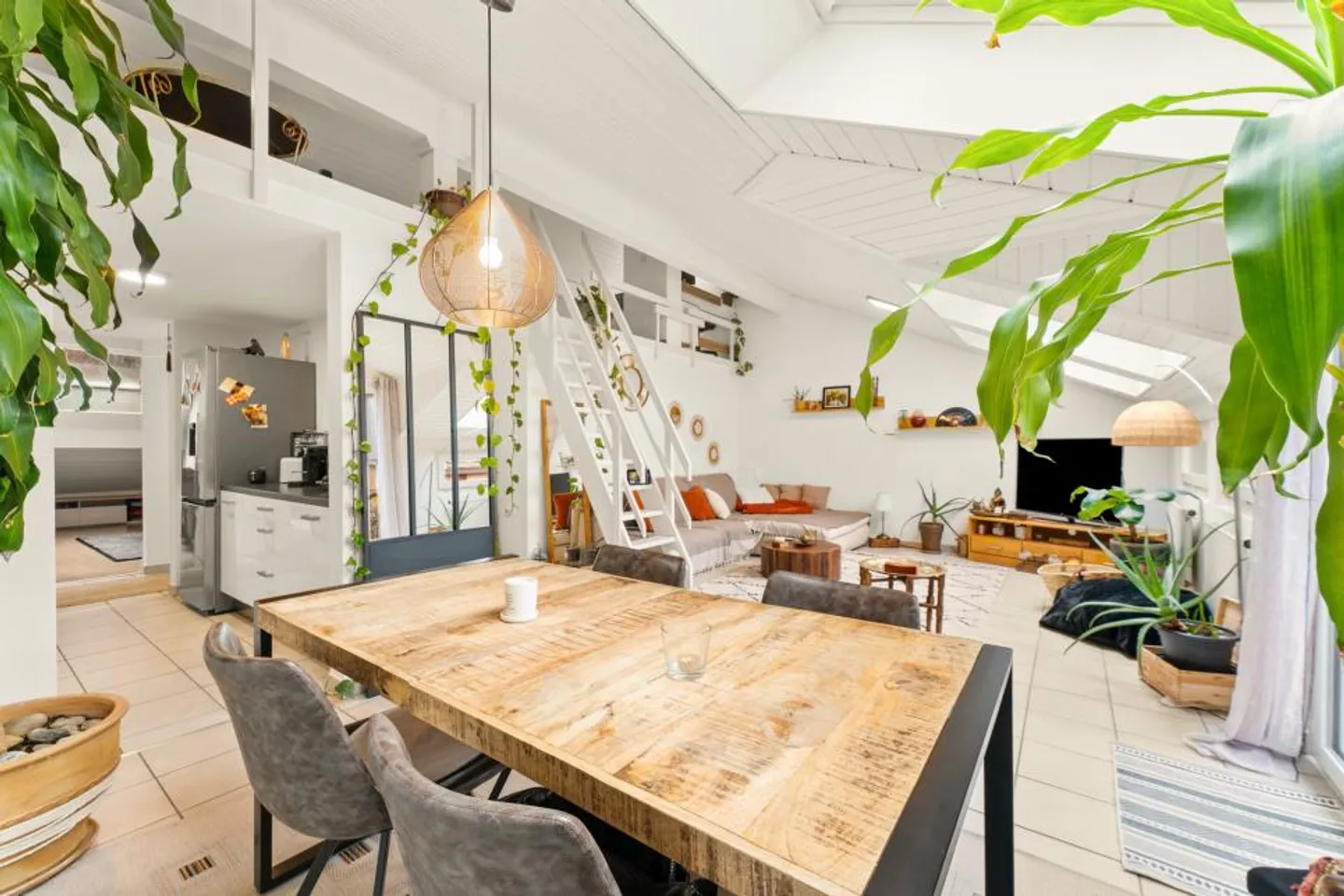 COCCO LUMINOSO - Foto 2 di 7