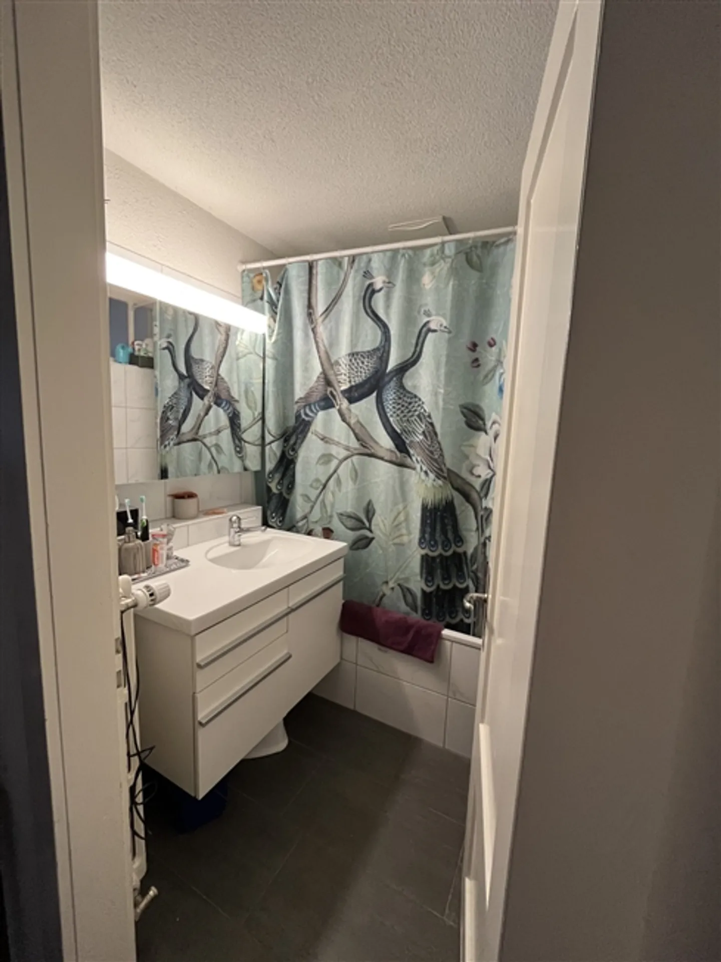 "3½ ROOM APARTMENT IN ZURICH, FURNISHED, TEMPORARY" - Photo 9 of 10