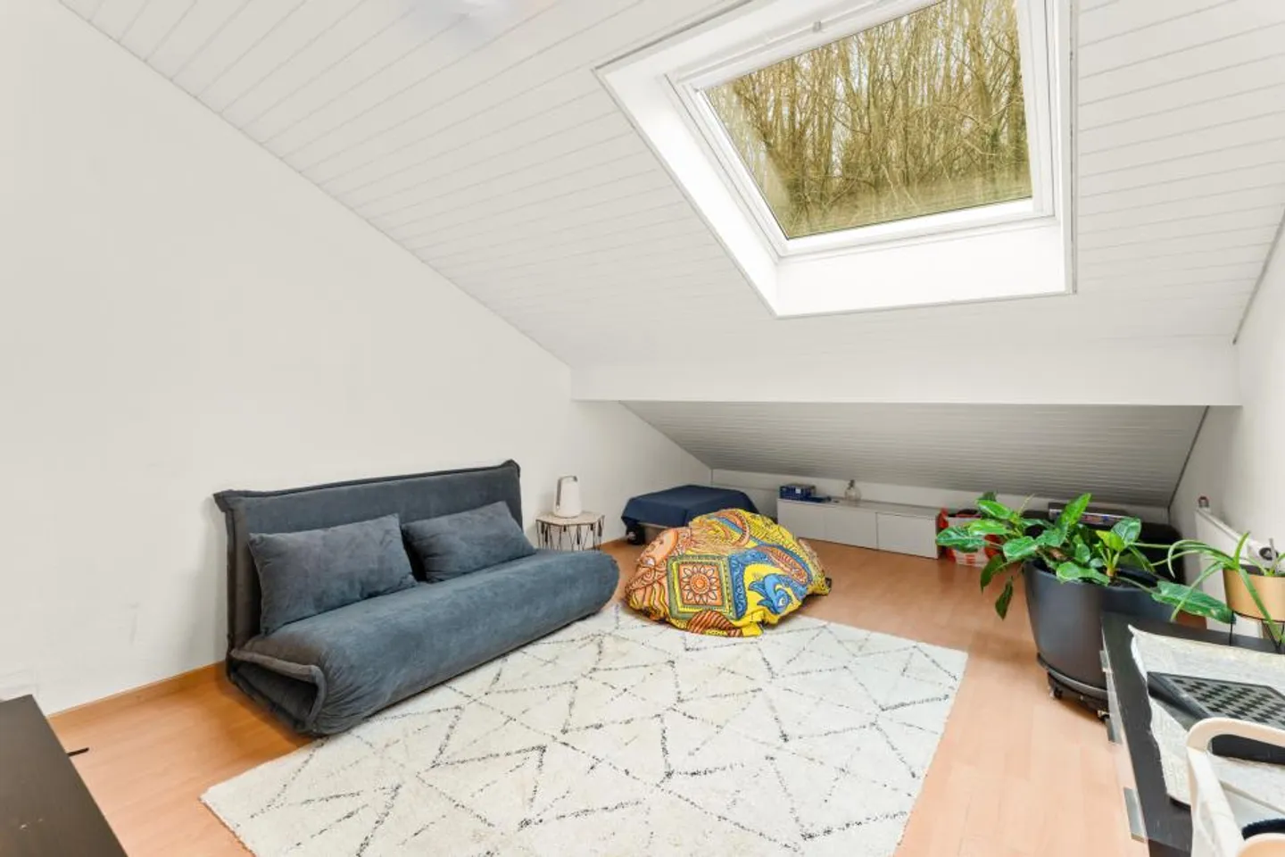 COCCO LUMINOSO - Foto 6 di 7