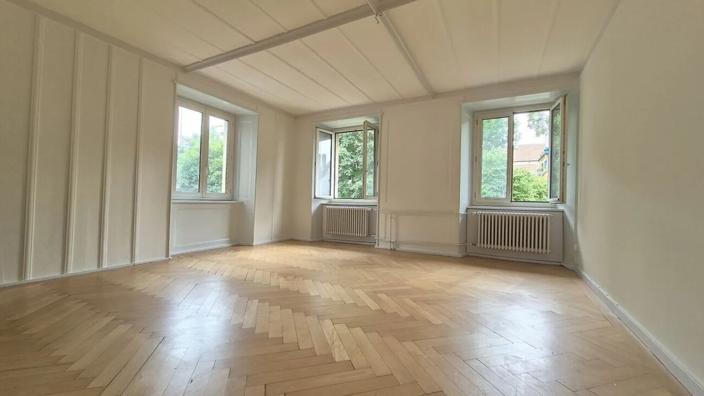 Large and beautiful 5.5-room apartment - Photo 3 of 10