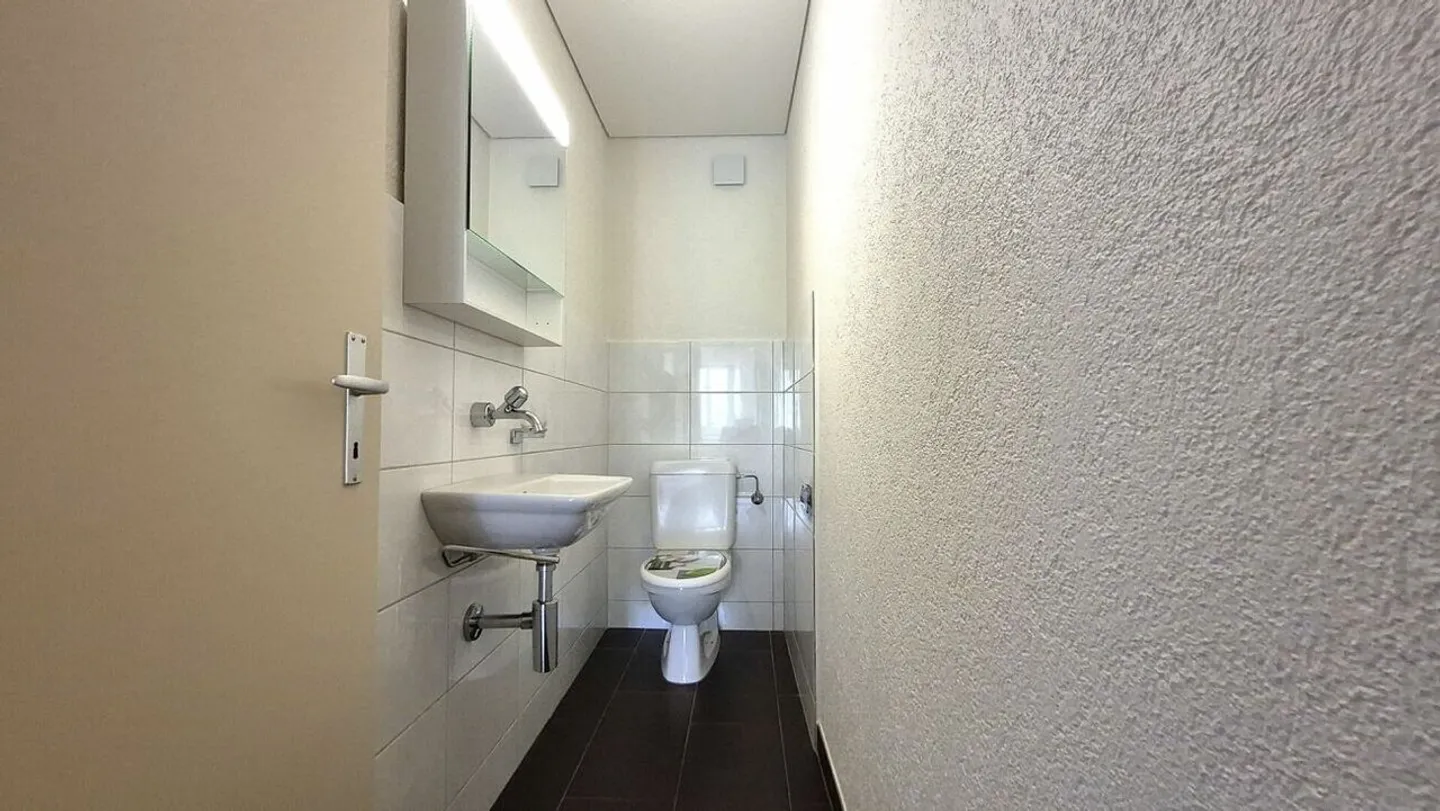 Large and beautiful 5.5-room apartment - Photo 9 of 10