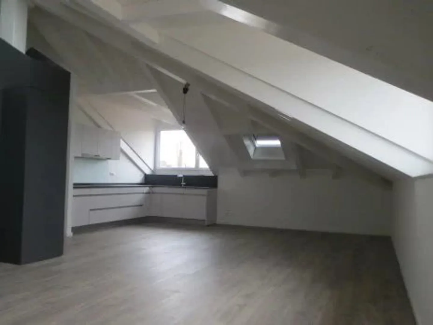 Magnificent 3.5-room apartment in the attic - Photo 3 of 12