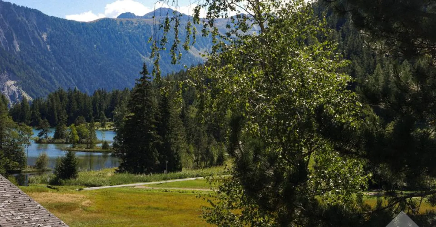 Appartamento Incantevole a Champex-Lac - Foto 2 di 12