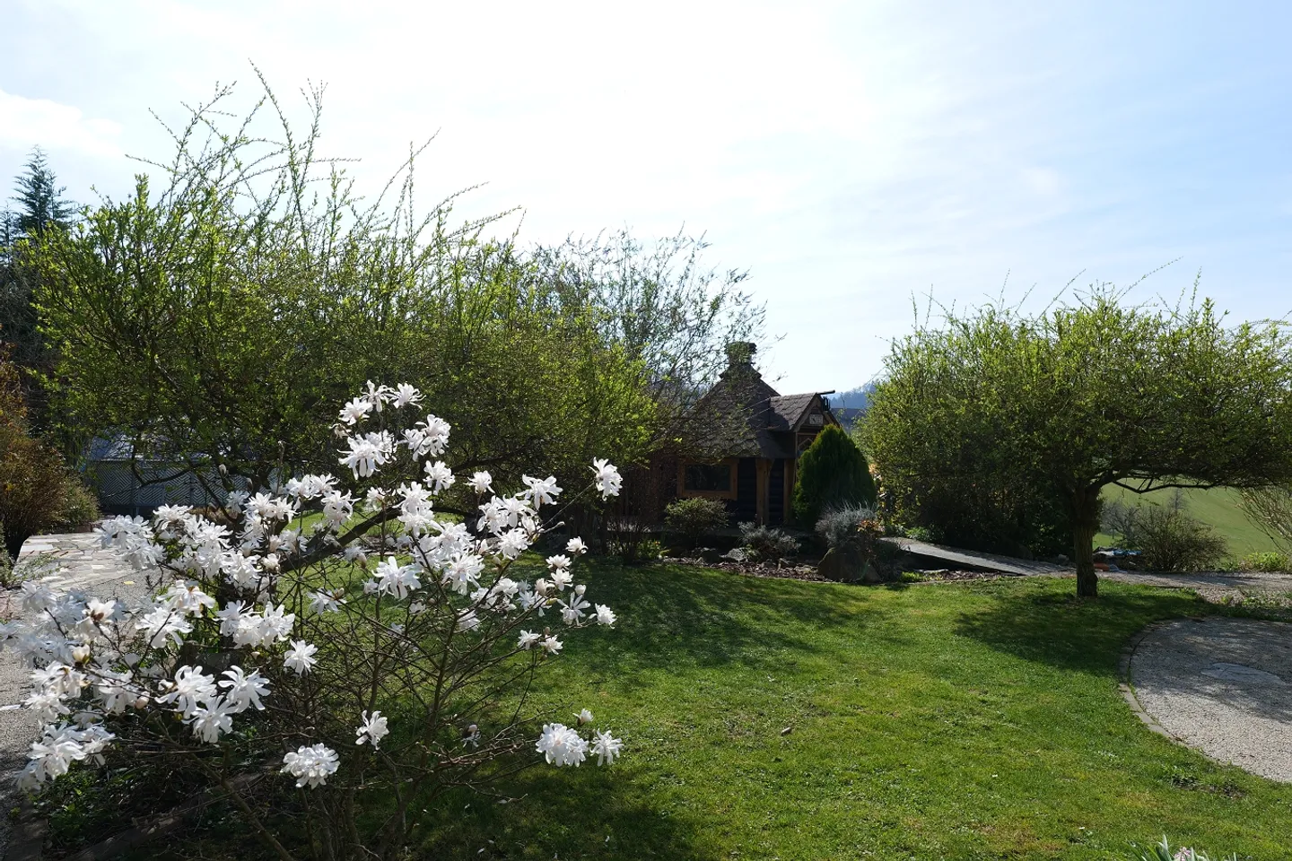 Vivere in una bella posizione a Himmelried - Foto 3 di 22