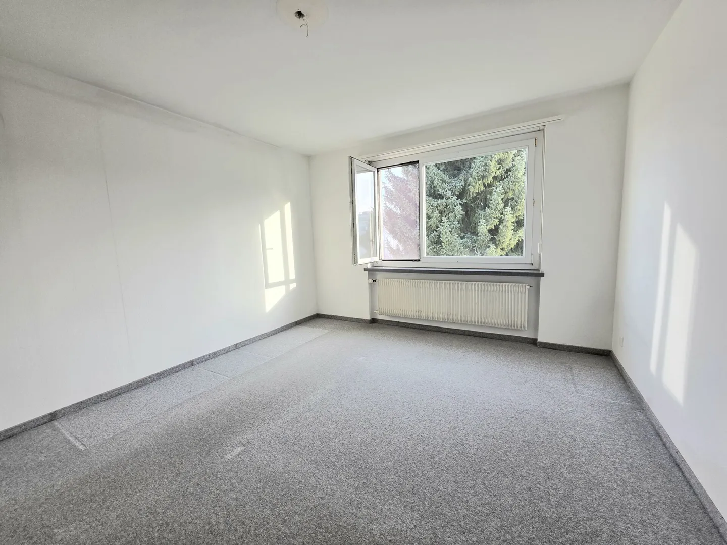 Between Forest and City, 3.5 Room Apartment near Zurich - Photo 9 of 14