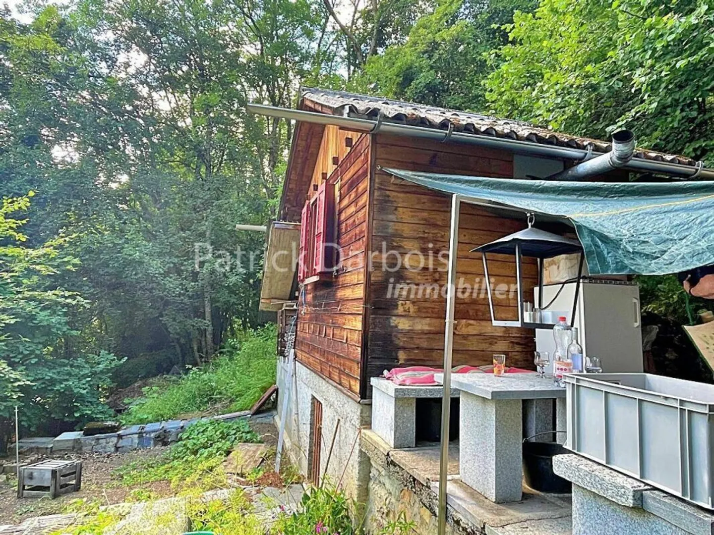 Chalet 7,5 stanze a Leysin - Foto 48 di 50