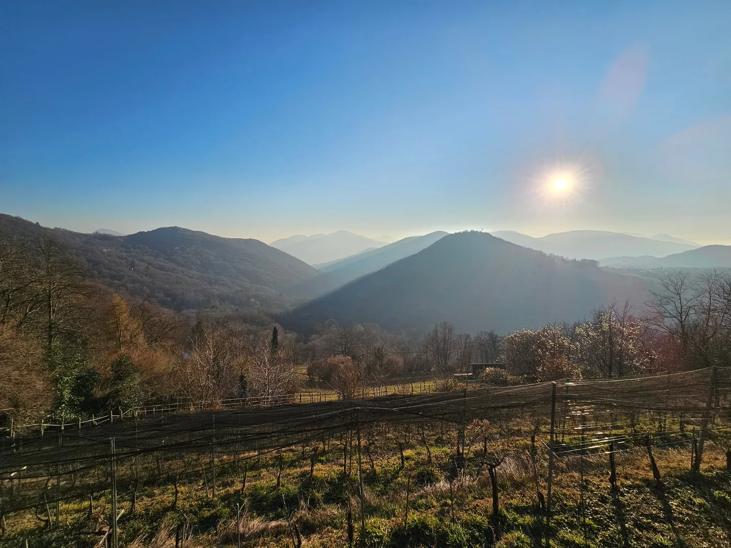 Malcantone Aranno: Fantastic Residential Land with Open Views of the Hills - Photo 4 of 7