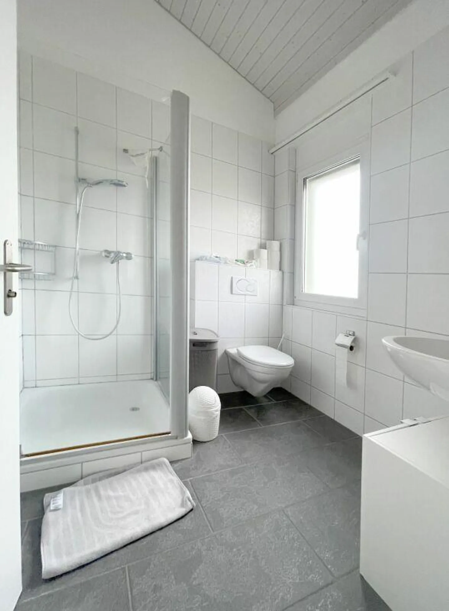 Sogno di casa ad Allschwil - Foto 11 di 15