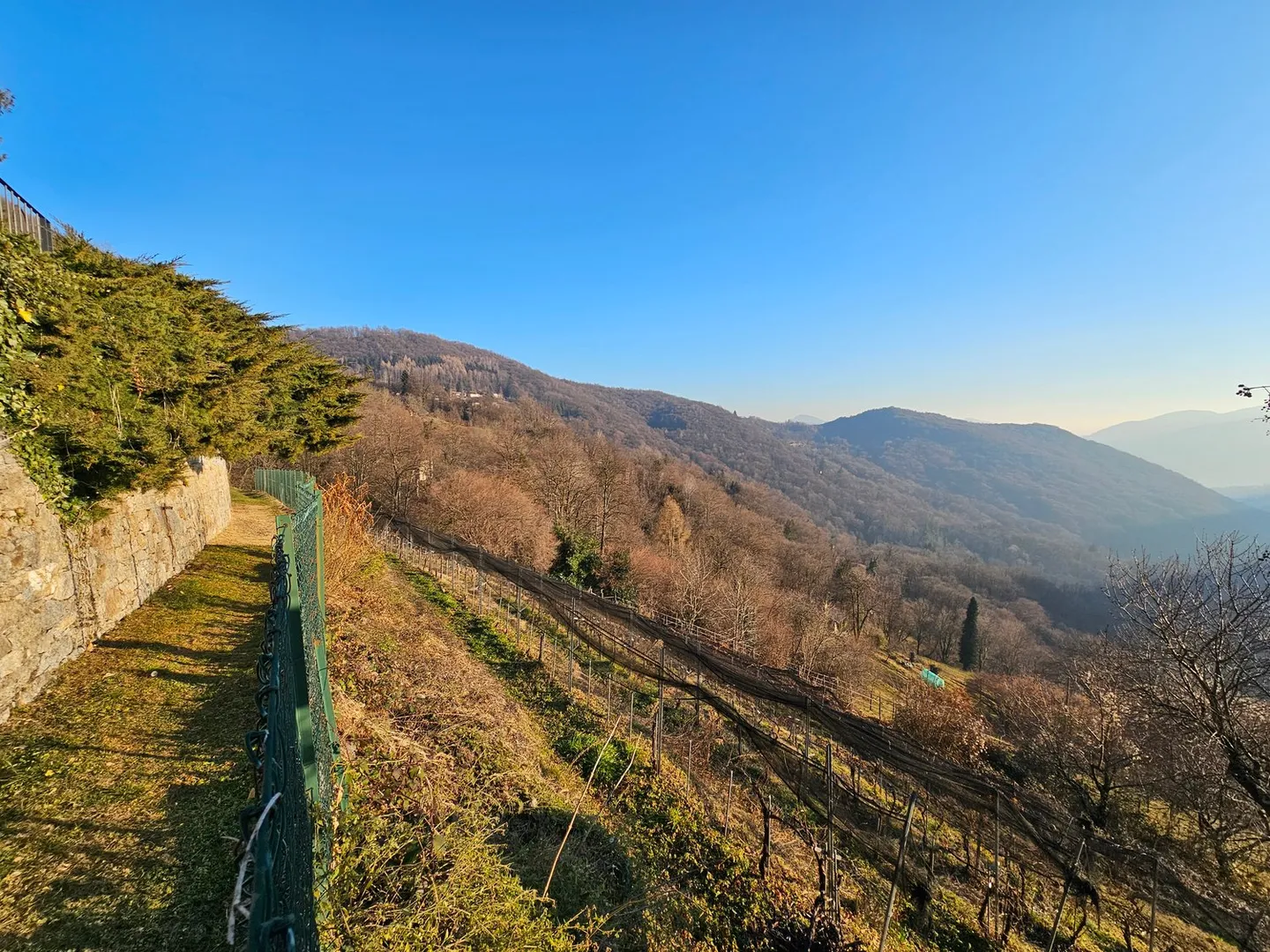 Malcantone Aranno: Fantastic Residential Land with Open Views of the Hills - Photo 5 of 7