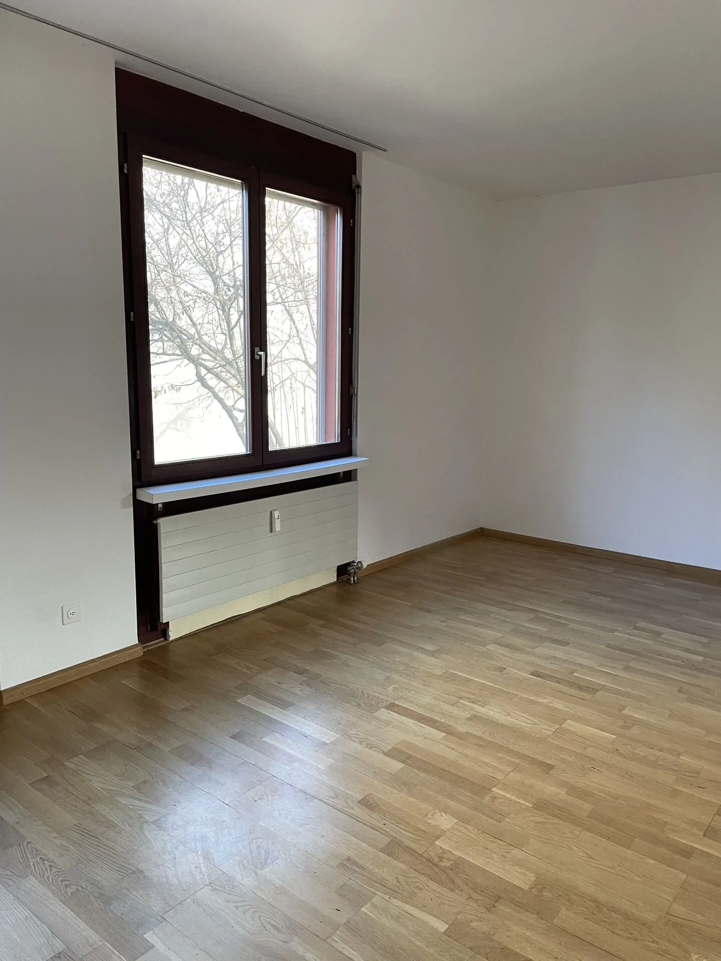 Gemütliche Wohnung in Allschwil - Foto 5 von 7
