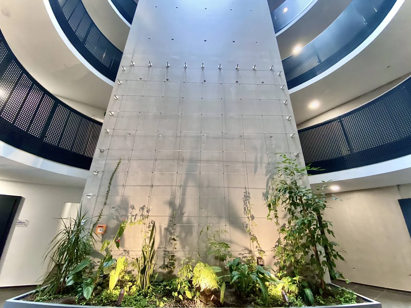 Werkstatt, Labor, neue Räumlichkeiten von 300 m2 zu vermieten, 10 Minuten von Freiburg entfernt - Foto 3 von 6