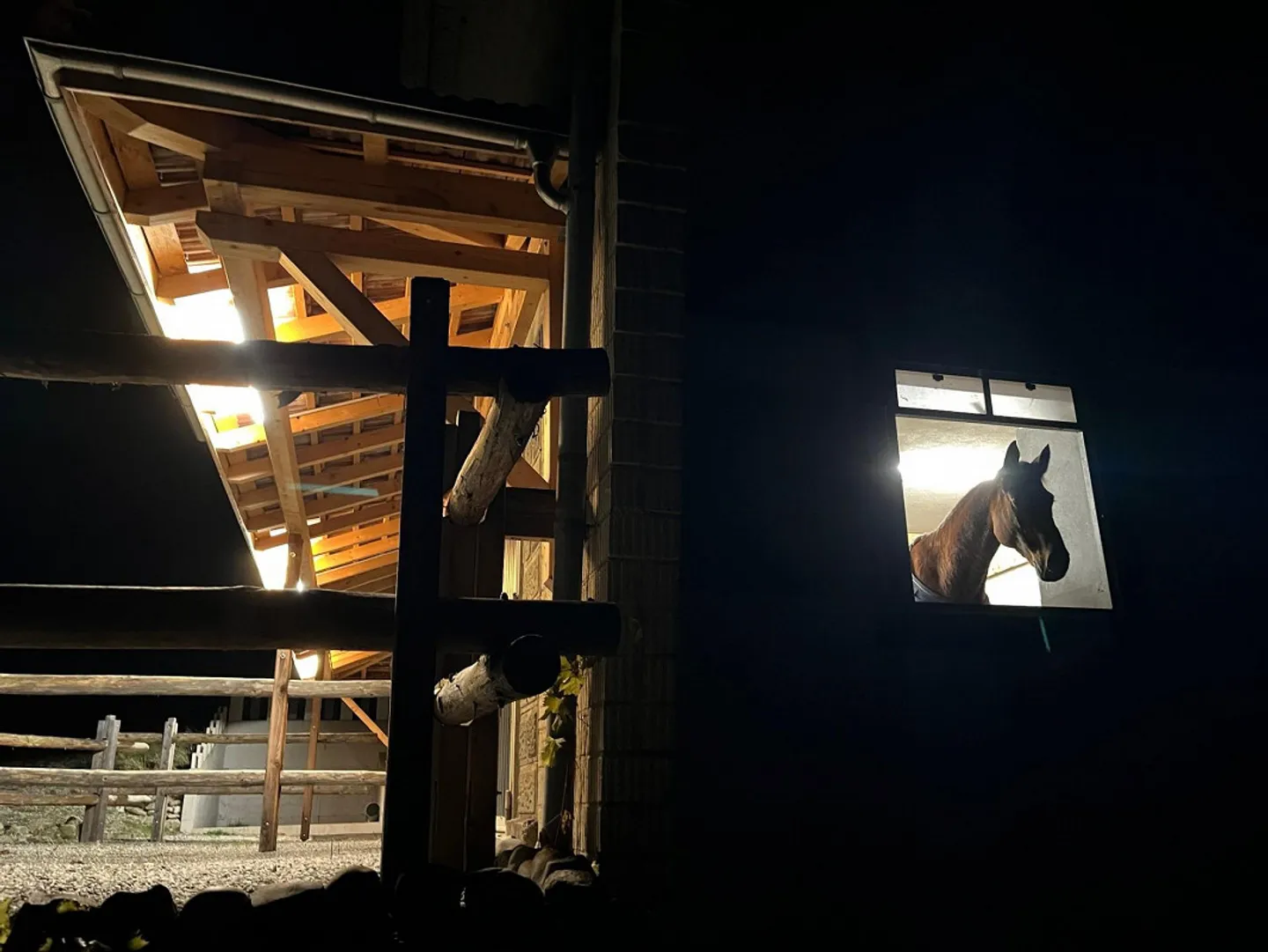 Appartement 2 1/2 pièces avec charme équestre - Photo 10 sur 10