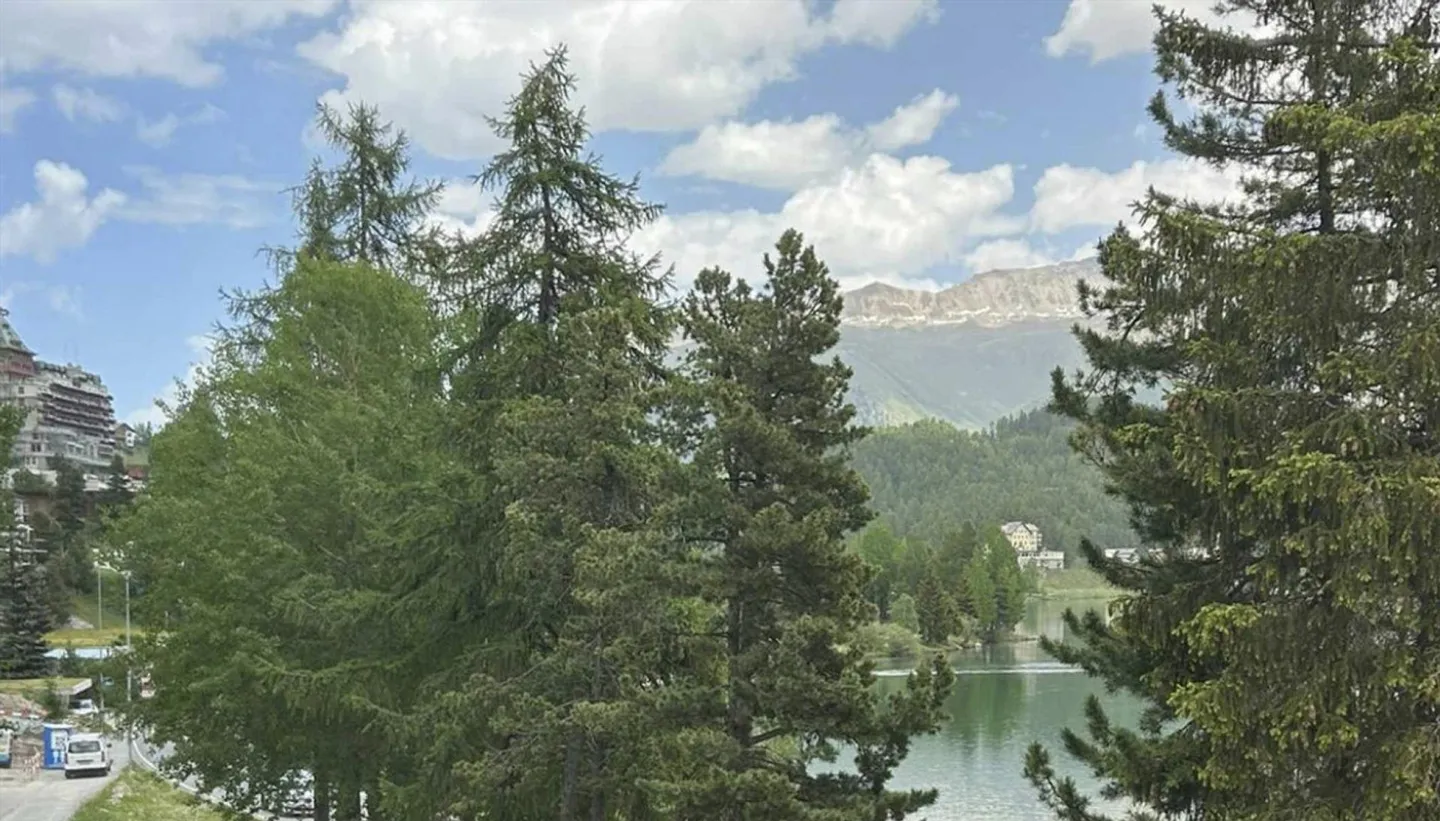 Luxury Apartment by Lake St. Moritz - Photo 1 of 2