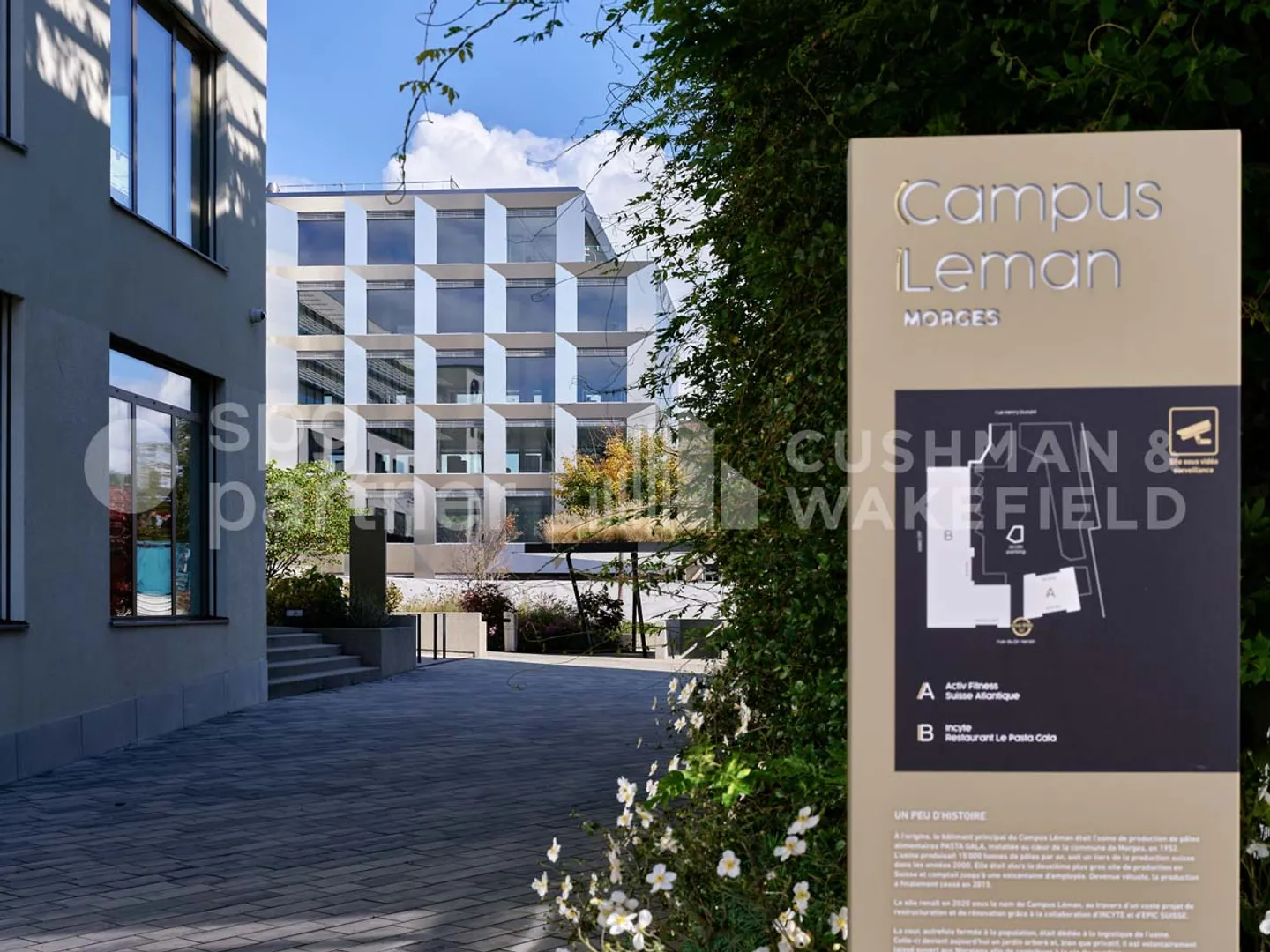 Travaillez au Campus Léman, où le confort et la performance sont réunis - Photo 3 sur 8