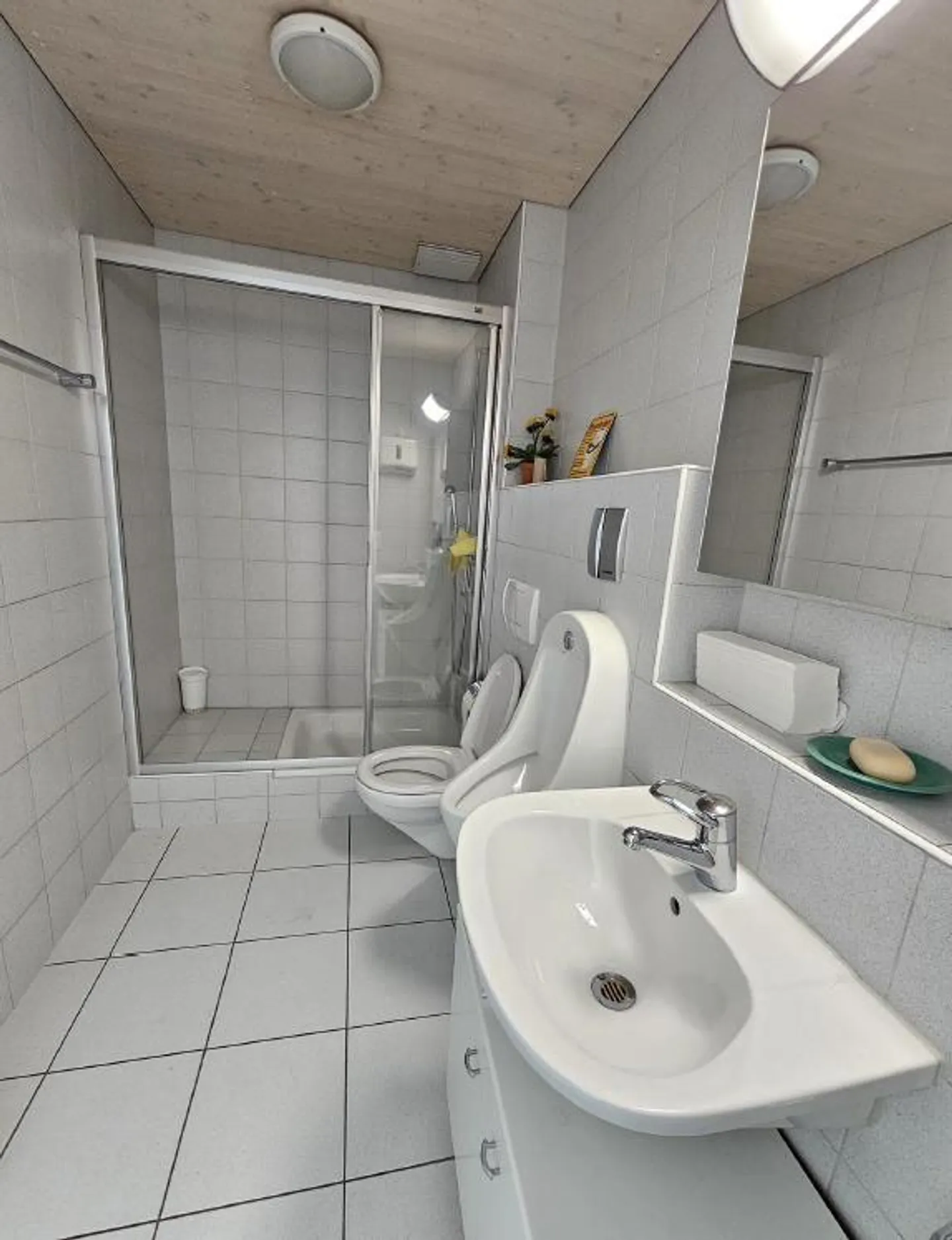 Grand espace de bureau et commercial avec terrasse et vue - Photo 14 sur 14