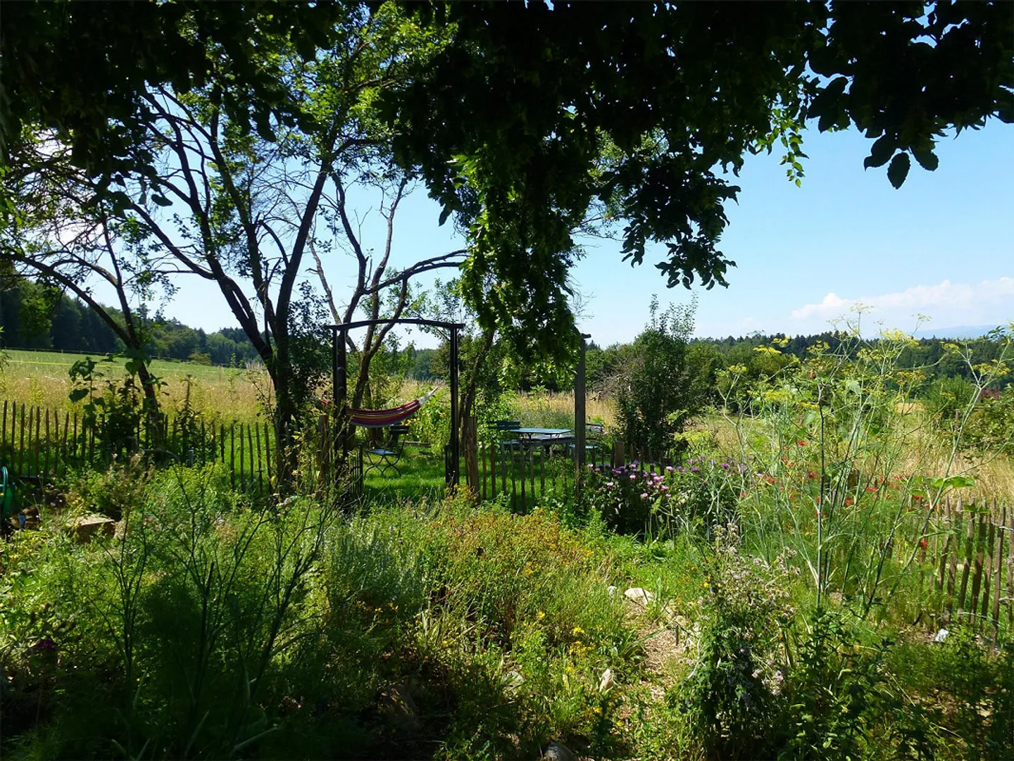 Proche de la nature dans la zone de loisirs ! - Photo 19 sur 20