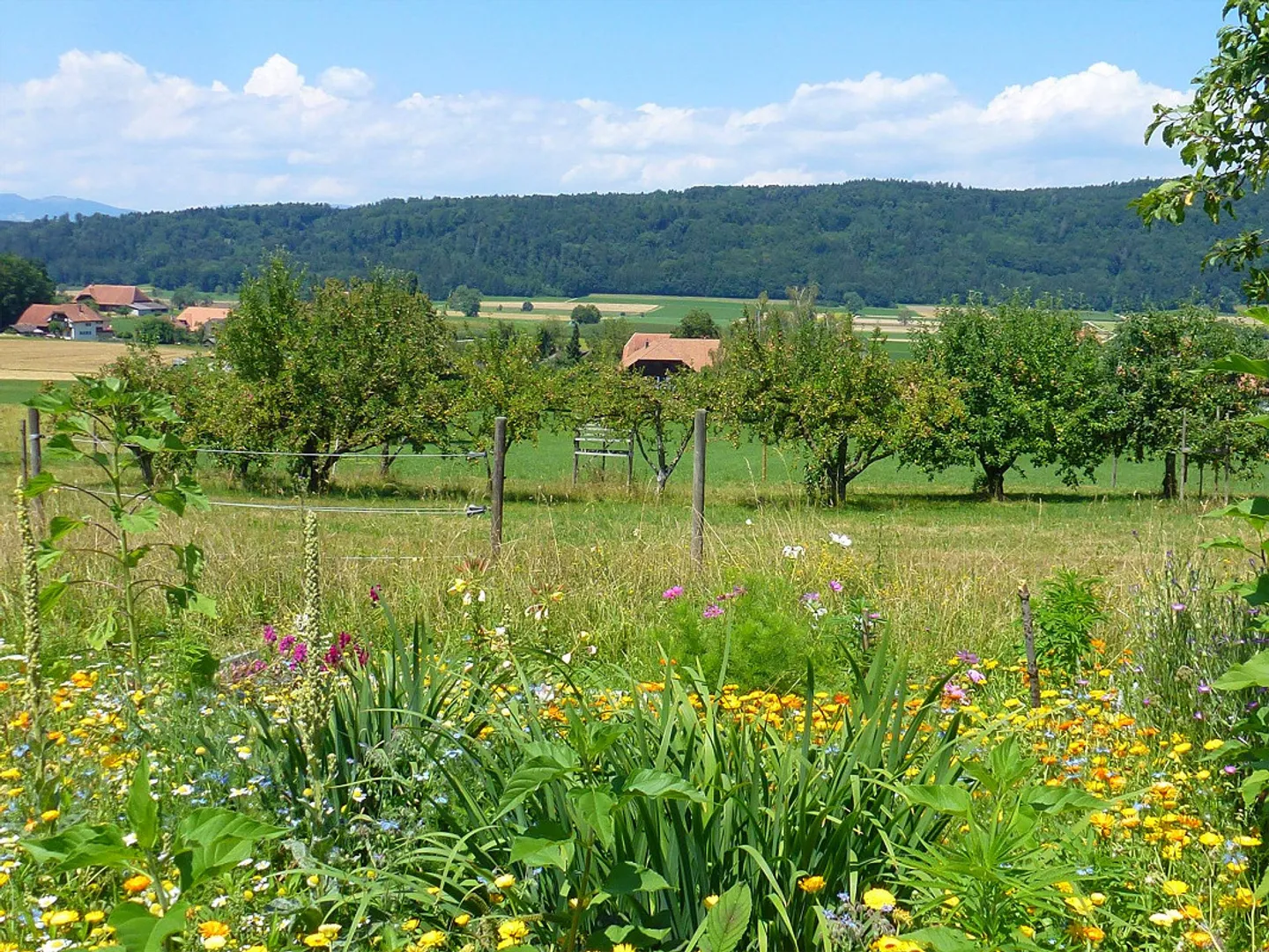 Proche de la nature dans la zone de loisirs ! - Photo 20 sur 20