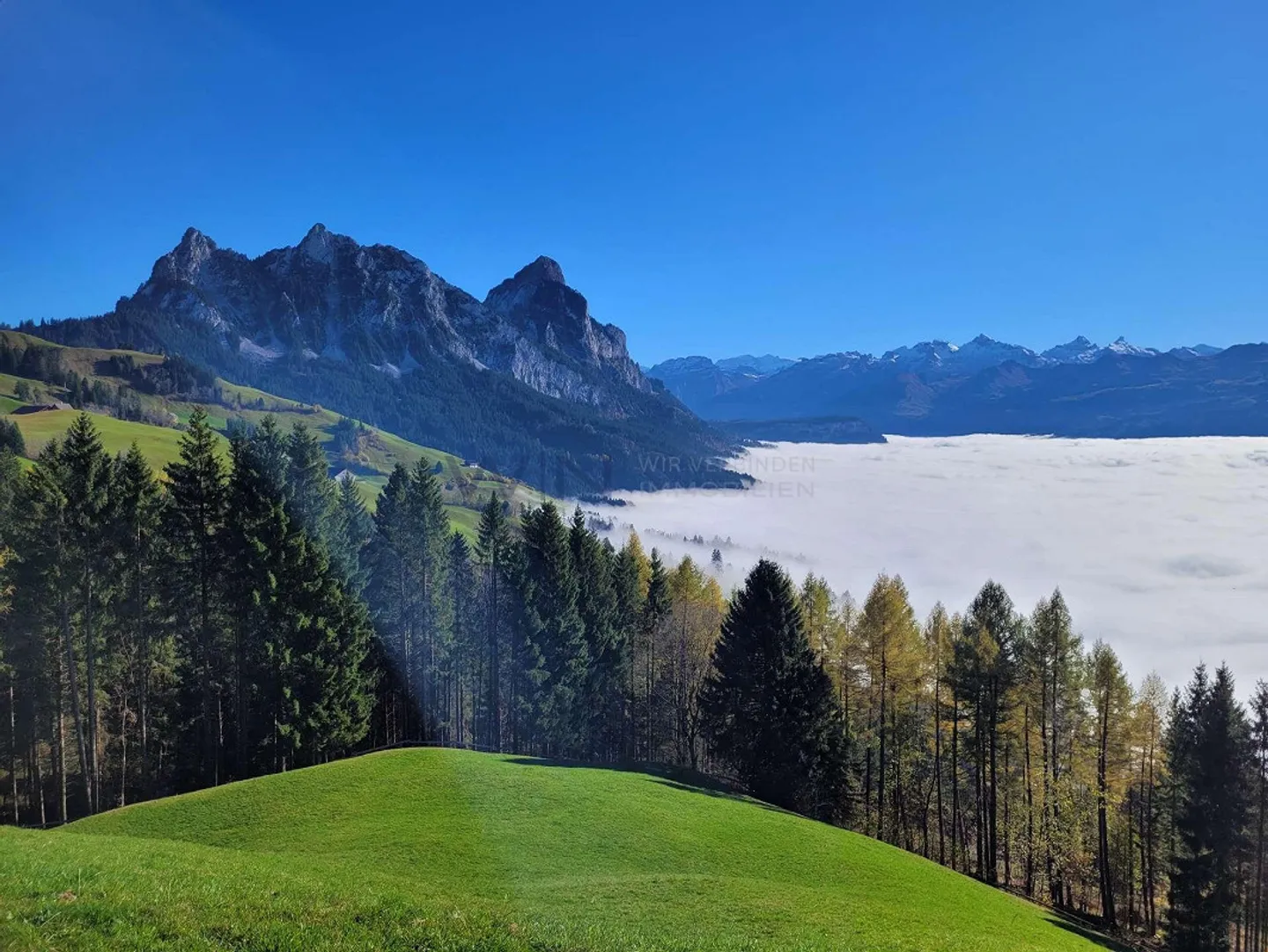 Relax in una posizione ideale per tutti - Foto 2 di 10