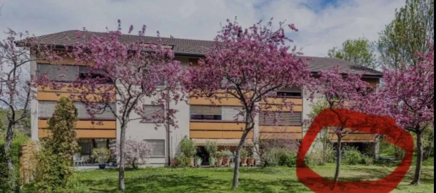 Familienfreundliche Wohnung - Foto 1 von 6