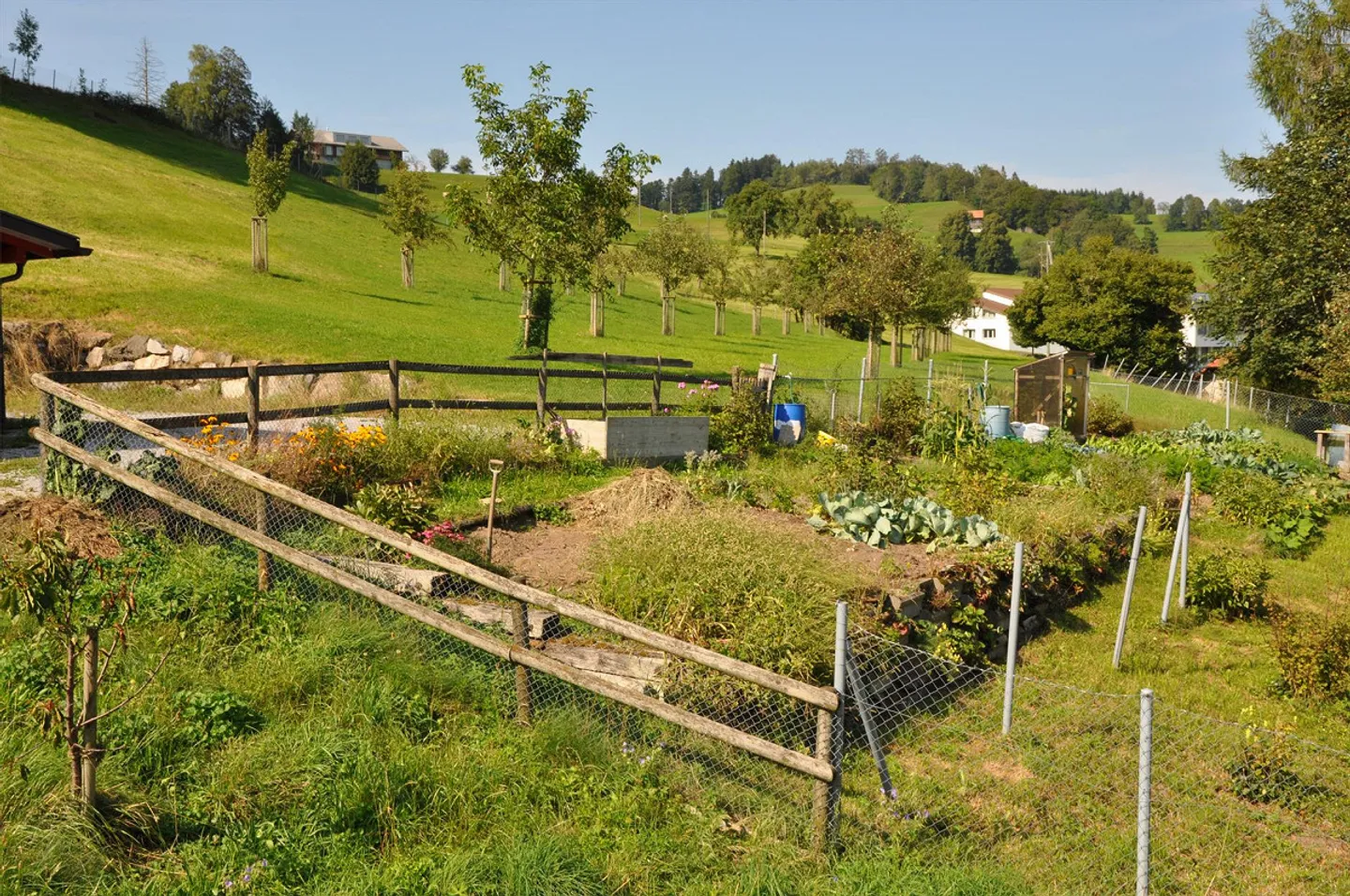 Appartamento 3.5 con molti extra in una casa a 3 famiglie - può anche essere arredato se desiderato - Foto 2 di 25