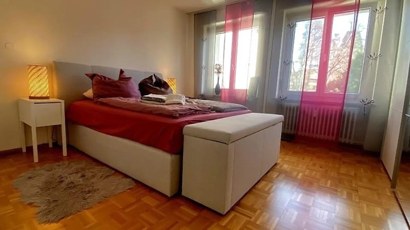 APPARTAMENTO 3 LOCALI A BASEL - GELLERT/ST. ALBAN, ARREDATO, TEMPORANEO - Foto 4 di 9