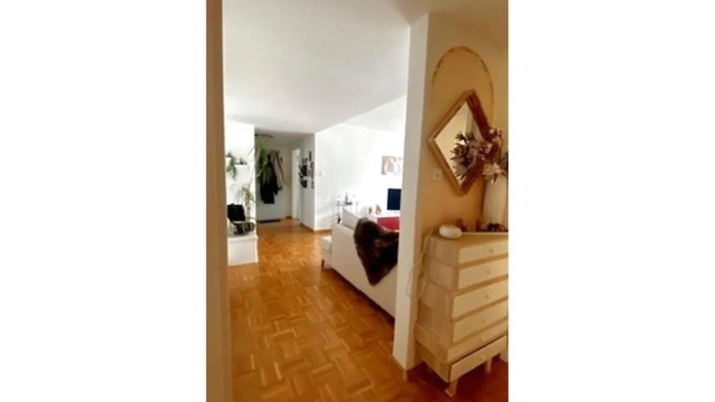 APPARTAMENTO 3 LOCALI A BASEL - GELLERT/ST. ALBAN, ARREDATO, TEMPORANEO - Foto 8 di 9