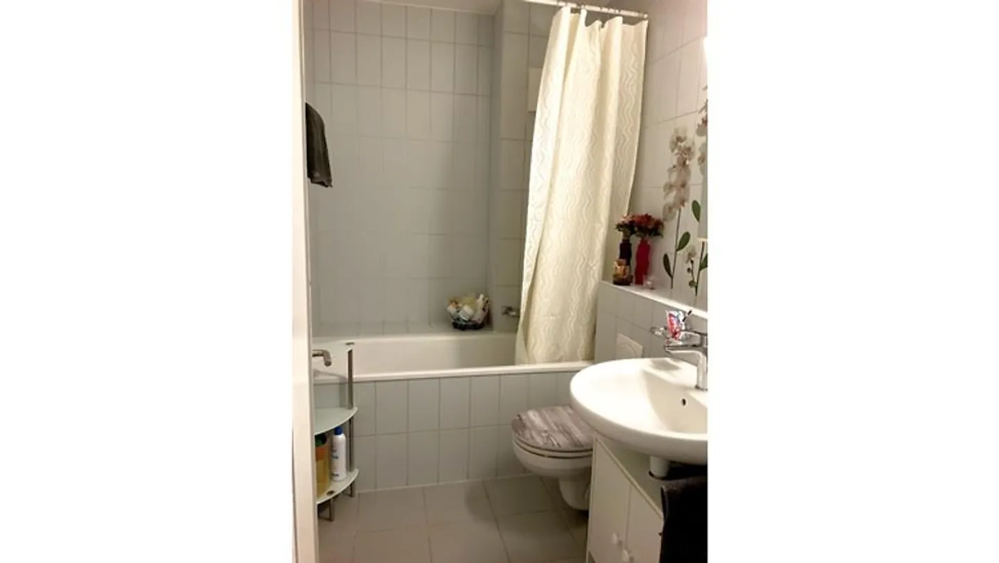 APPARTAMENTO 3 LOCALI A BASEL - GELLERT/ST. ALBAN, ARREDATO, TEMPORANEO - Foto 9 di 9