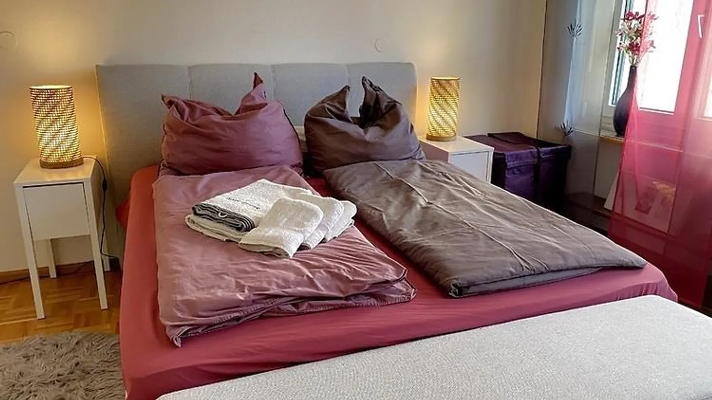 APPARTAMENTO 3 LOCALI A BASEL - GELLERT/ST. ALBAN, ARREDATO, TEMPORANEO - Foto 5 di 9