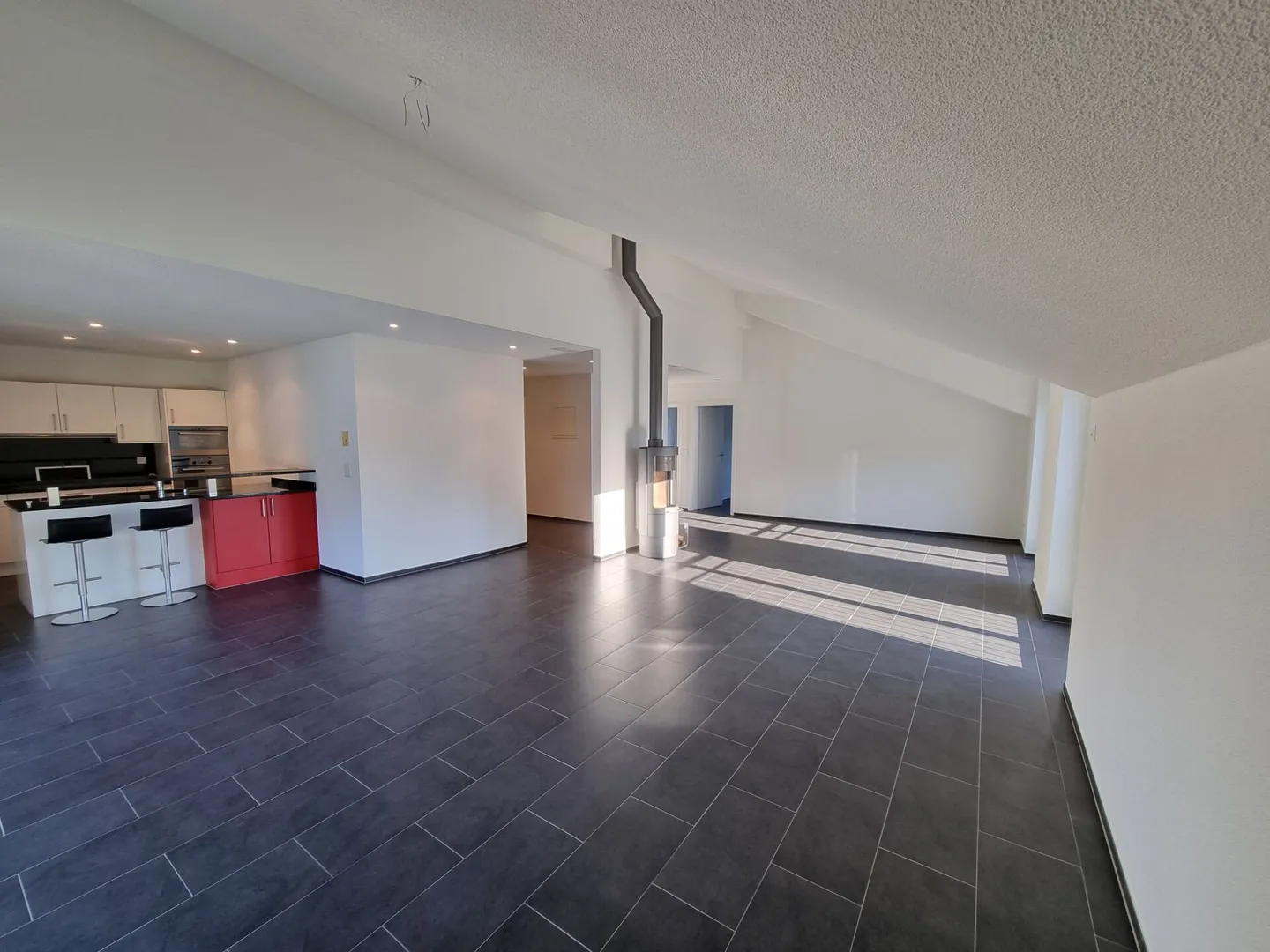 Appartement sous les combles avec grande terrasse et salle de bricolage - Photo 3 sur 11