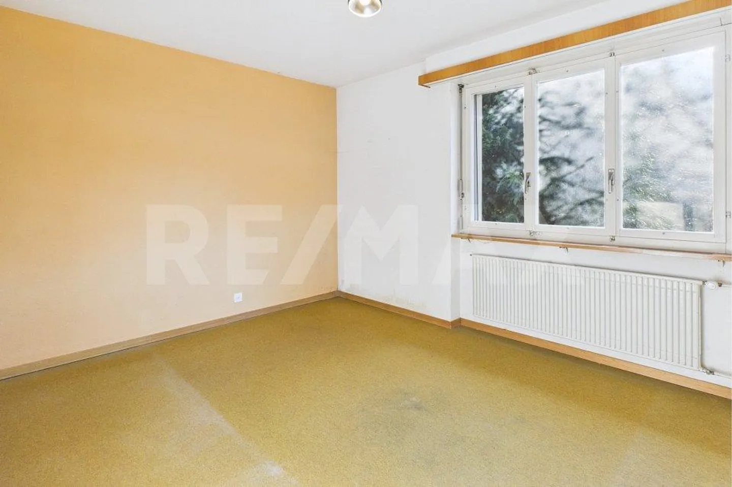 Detached Single-Family Home with Reserves for Individual Adjustments - Photo 13 of 13