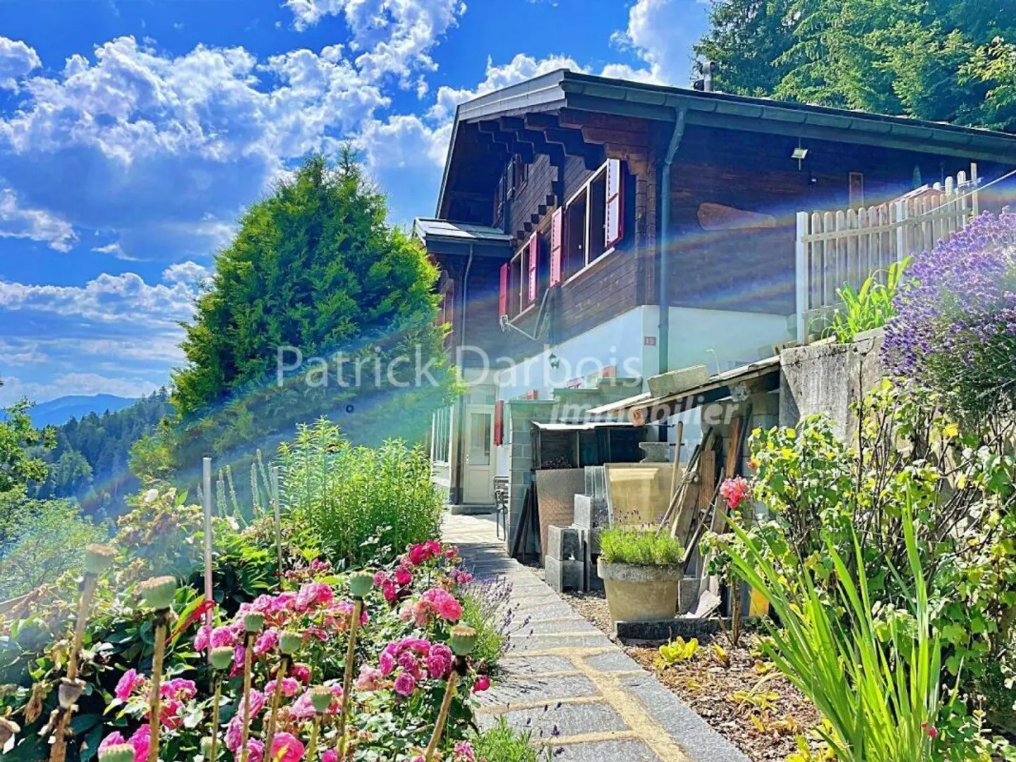 Chalet 7,5 stanze a Leysin - Foto 1 di 50