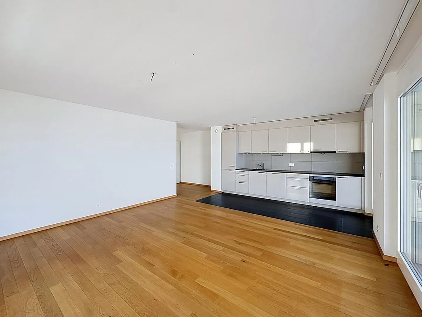 Charming Apartment with Lake View - Photo 3 of 10