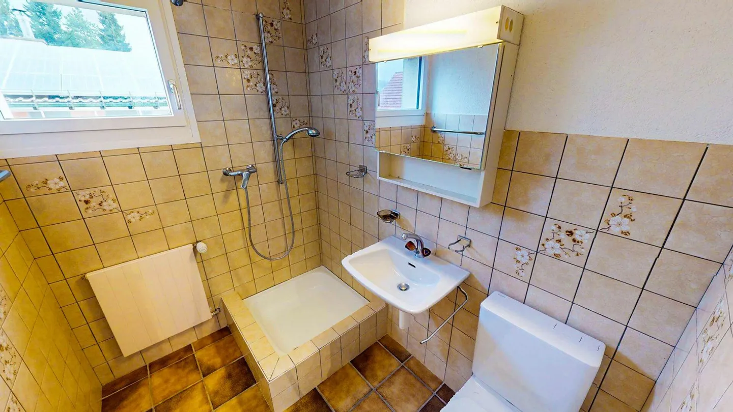 Spacious 5.5 Room Single-Family House with Hobby Room - Photo 17 of 29