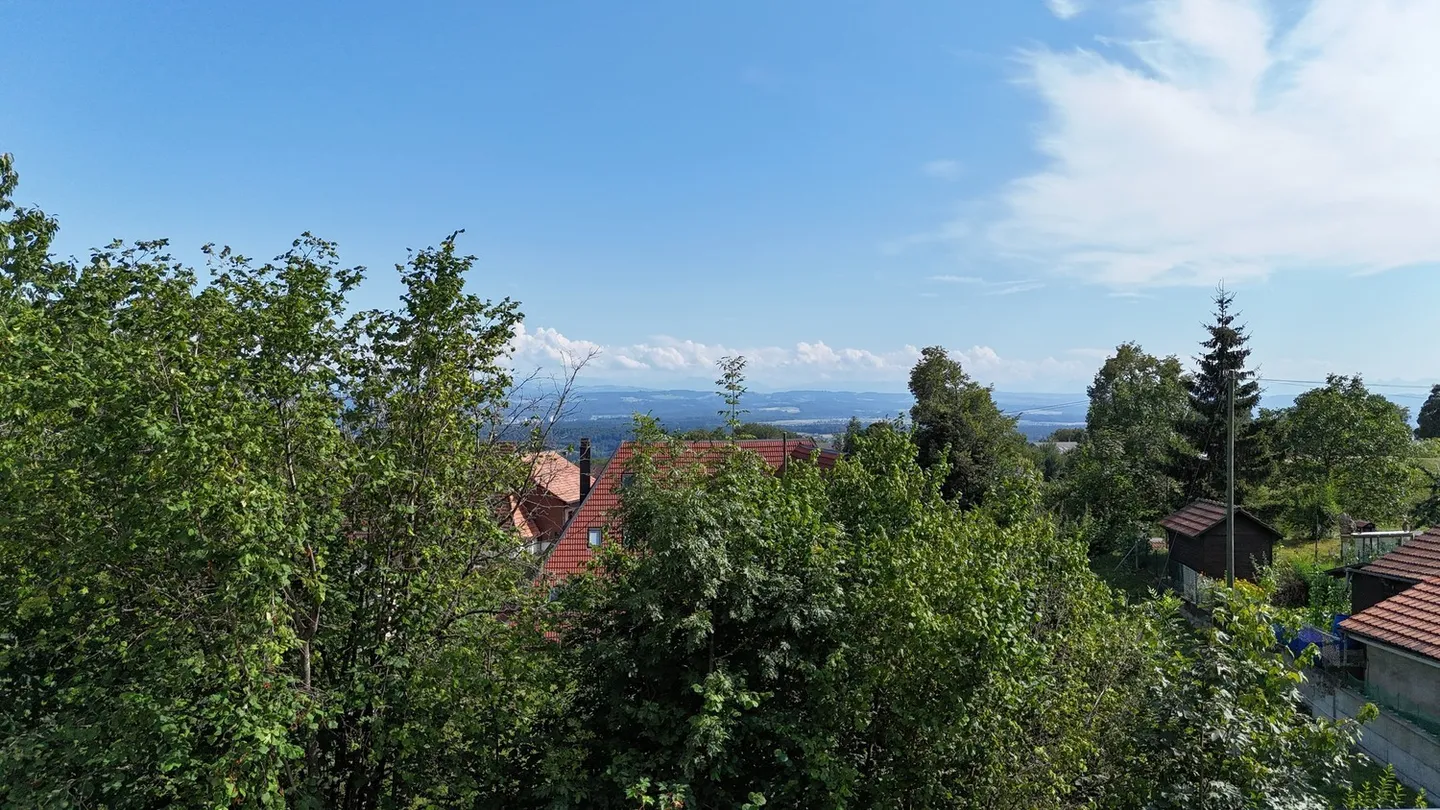 Maison individuelle unique de 3,5 pièces avec vue et oasis de bien-être - Photo 4 sur 21