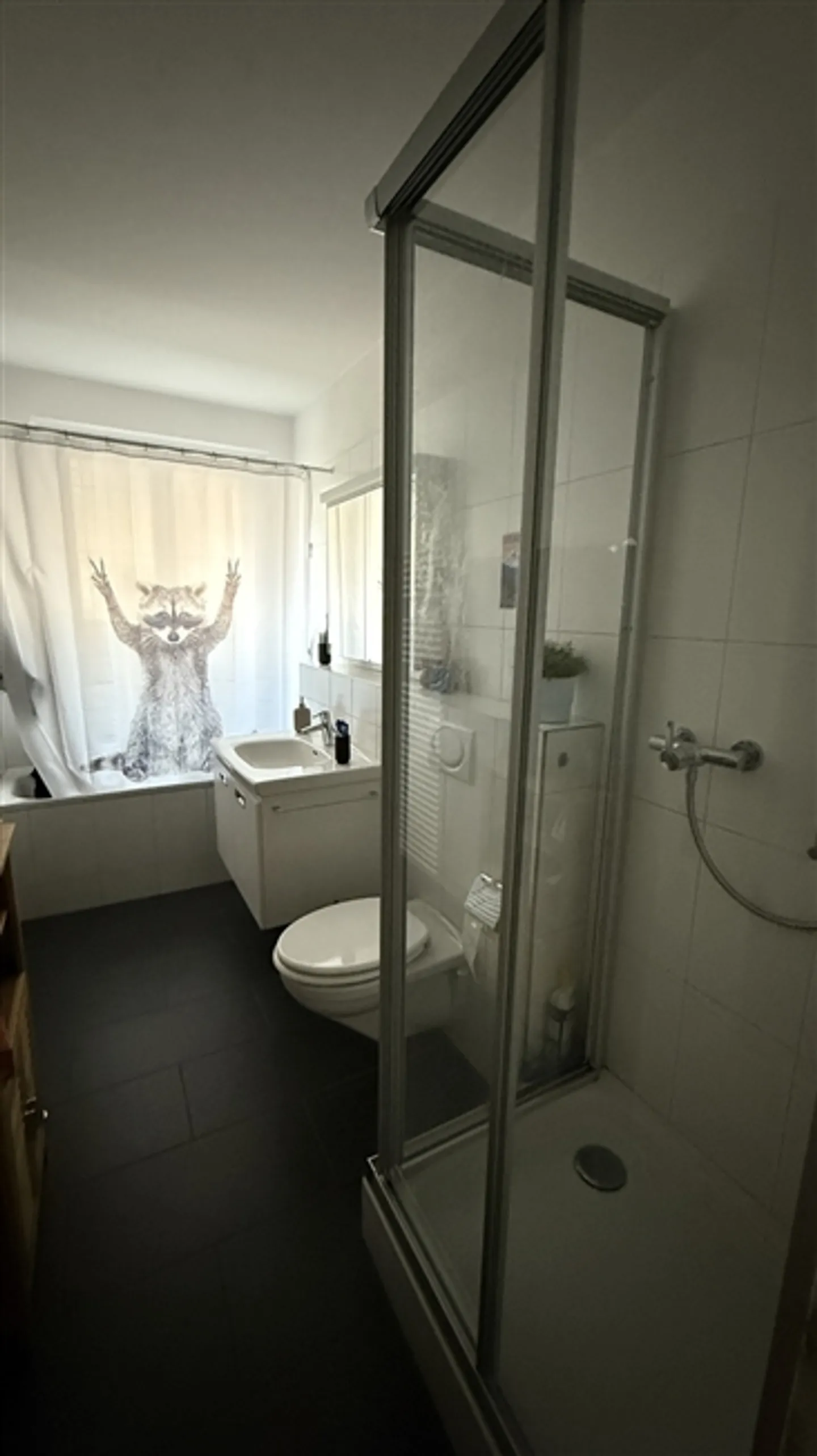 3½ ROOM APARTMENT IN MURI B. BERN (BE), FURNISHED, TEMPORARY - Photo 5 of 7