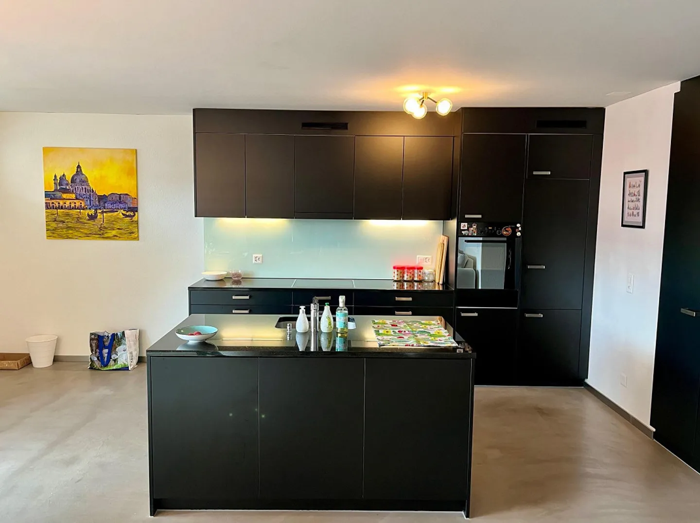 Large, modern, bright 3.5 room furnished apartment near Zurich - Photo 6 of 9
