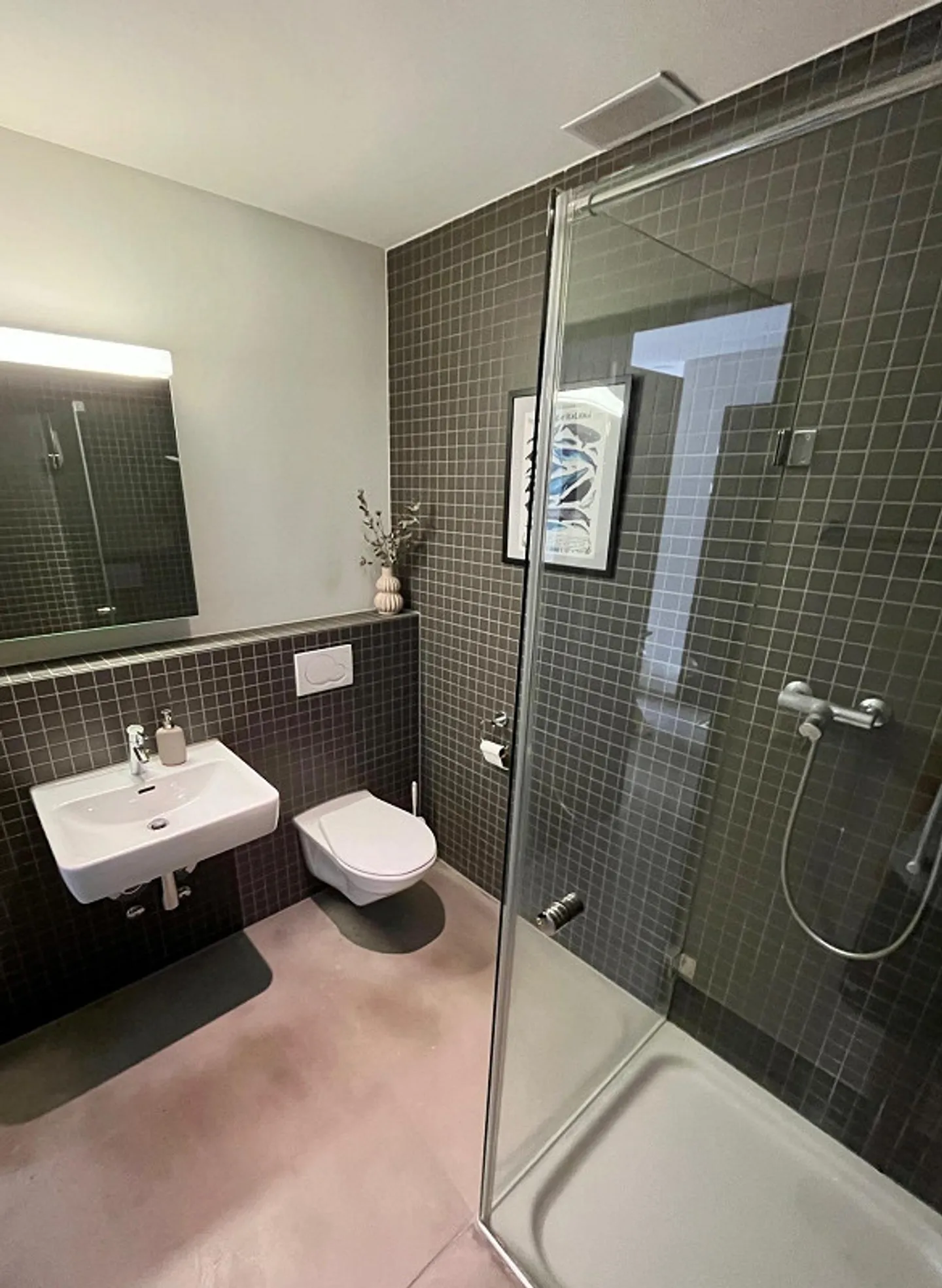 Large, modern, bright 3.5 room furnished apartment near Zurich - Photo 7 of 9
