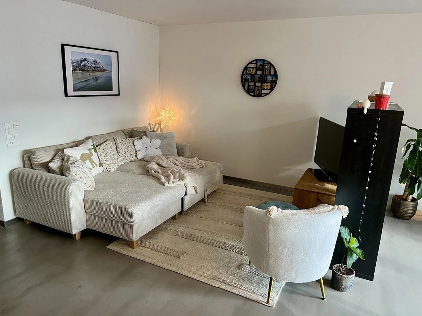 Large, modern, bright 3.5 room furnished apartment near Zurich - Photo 8 of 9