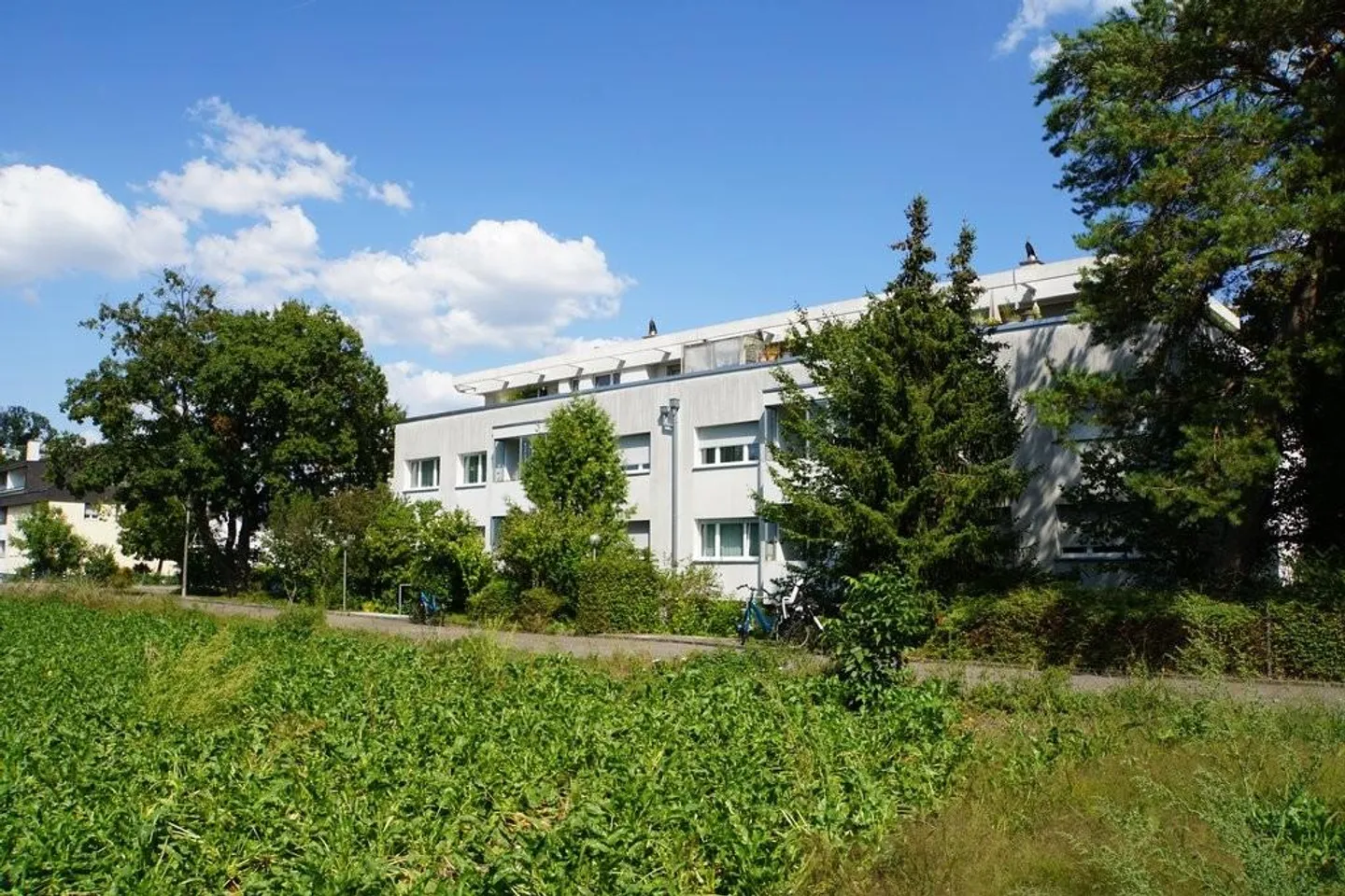 Teilsanierte Attika-Wohnung mit Sicht ins Grüne - Foto 1 von 7