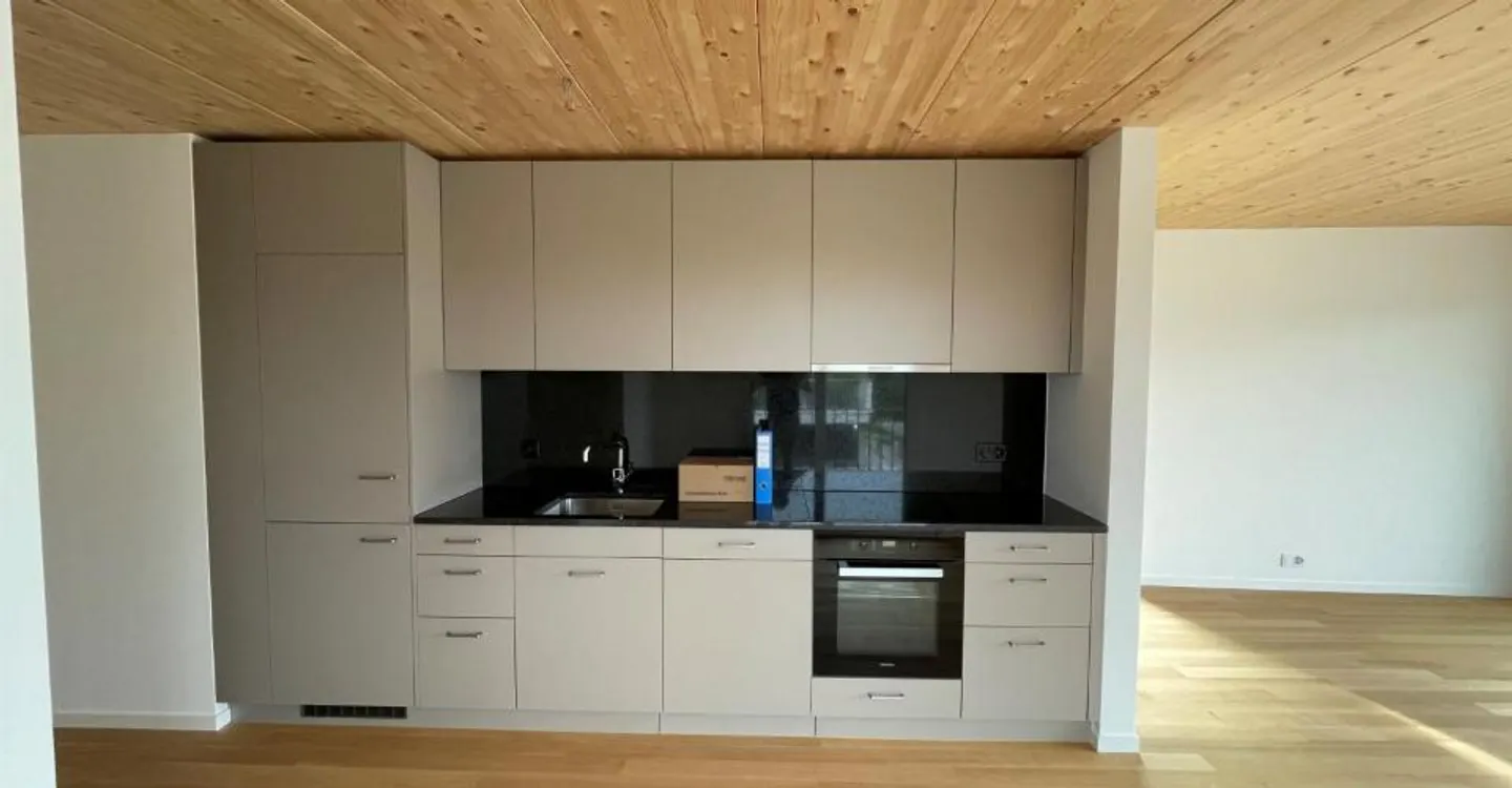 Modern Living in Feldmeilen - Photo 4 of 6